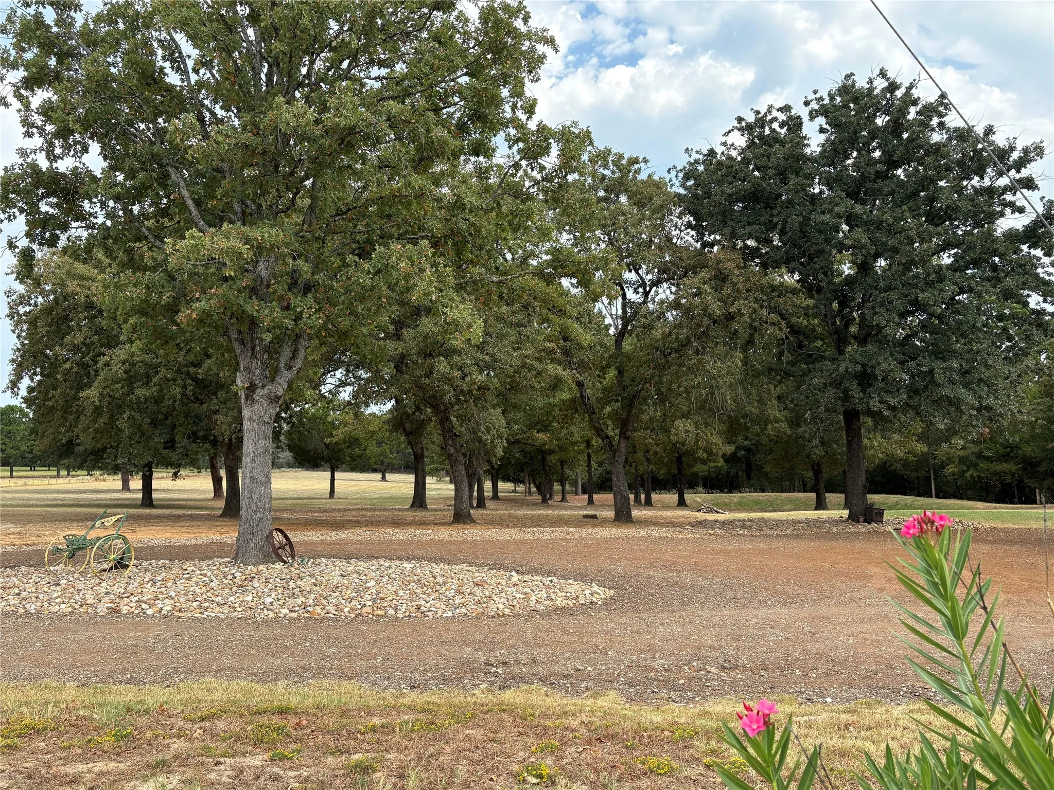 Expansive grounds featuring mature shade trees and open acreage with natural landscaping