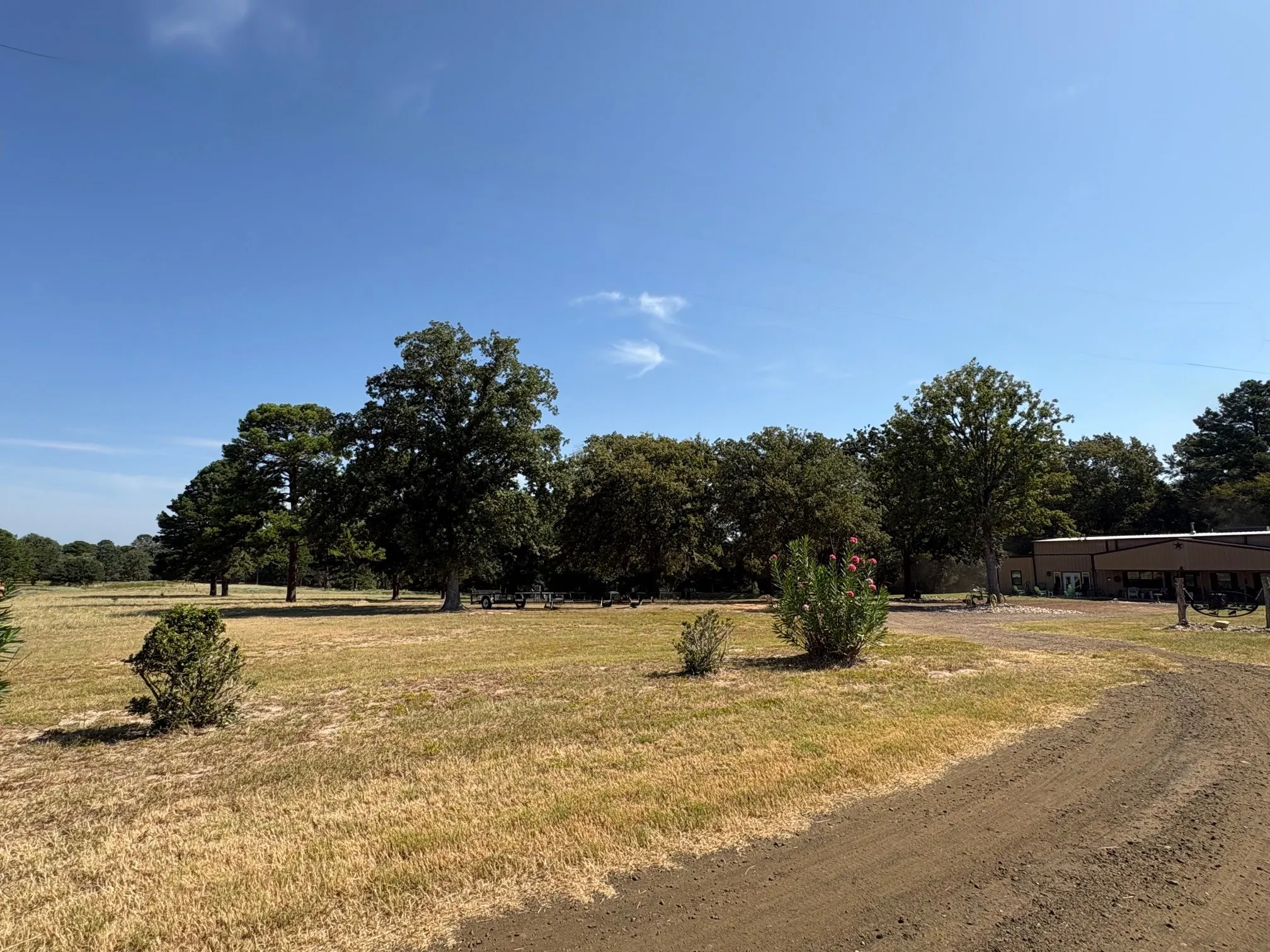 Spacious outdoor area featuring a dirt driveway, mature trees, and natural landscaping