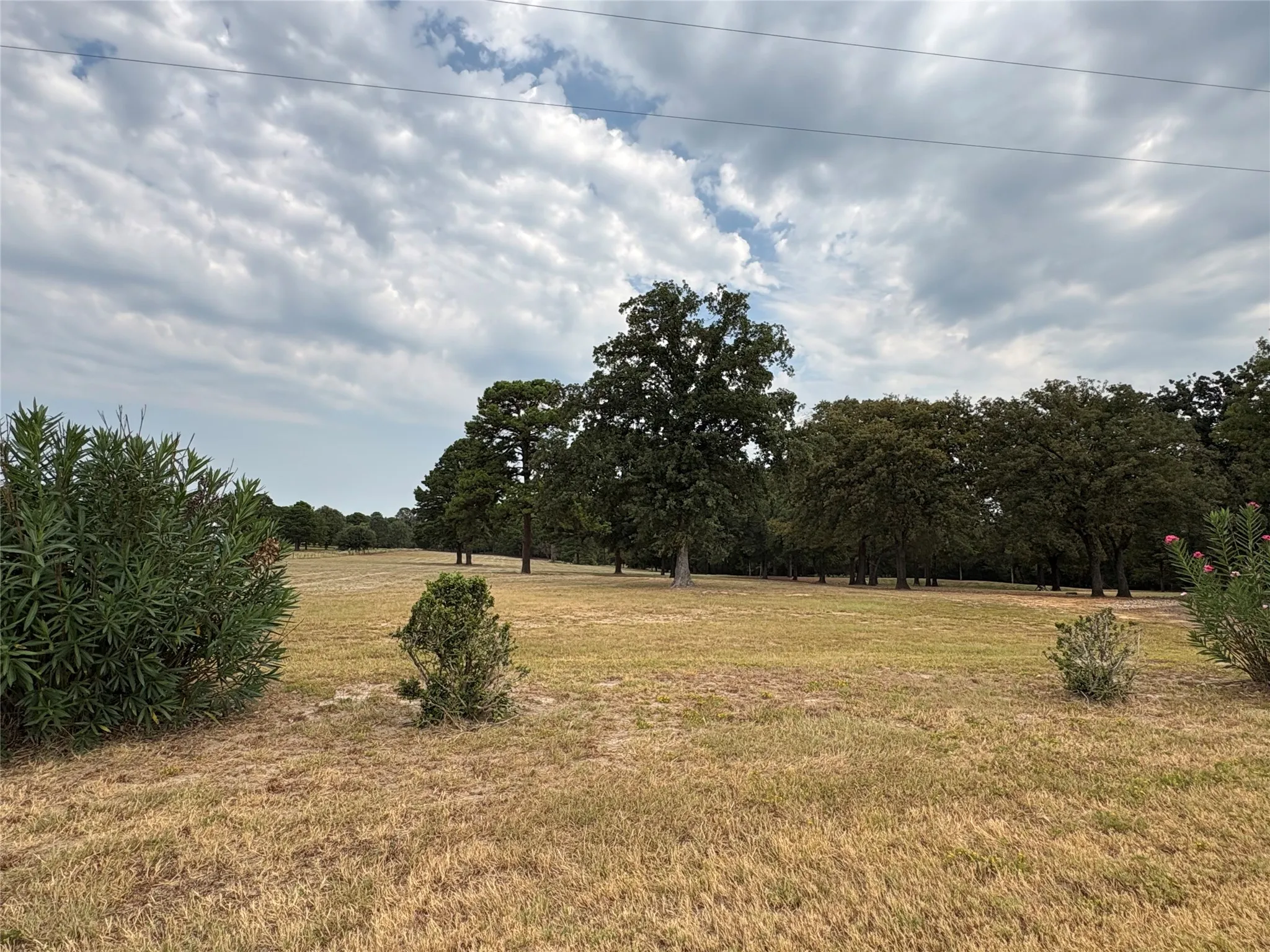 Expansive pasture with mature oak trees and established tree line bordering the property