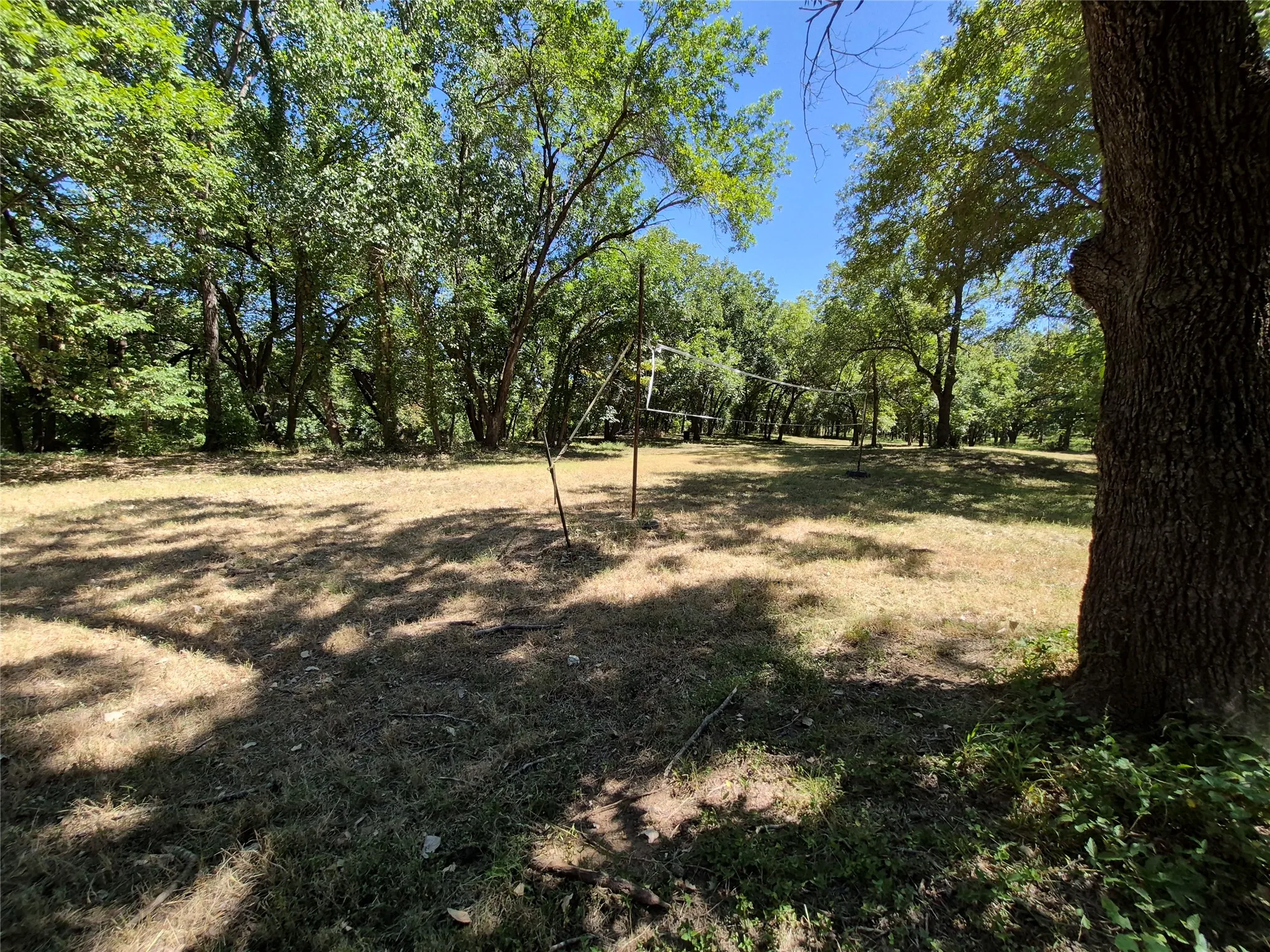 Expansive outdoor space featuring mature trees and a clear perimeter