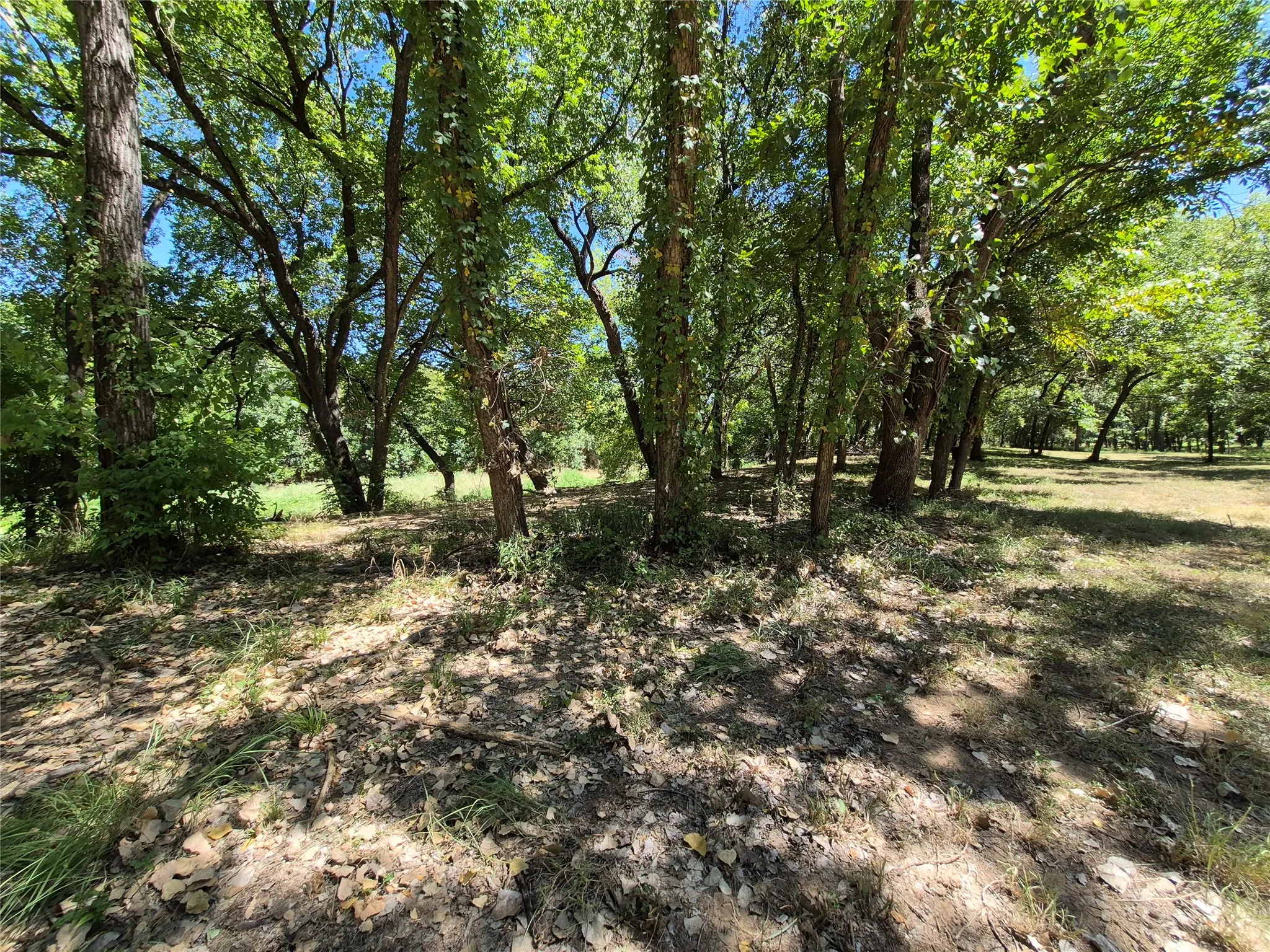 Unimproved Land For Sale in Hood County , 2809 River View Trail, Granbury, Texas 76048, 0, 0, Garage spaces, 0 Sqft, built in 0, mls#21360664, Real Estate Agent in Granbury, Homes For Sale in Hood county, Homes For Sale in Granbury, Realtor in Granbury Texas, Real Estate Brokerage Independent Realty Texas, Luminita Cordes Realtor