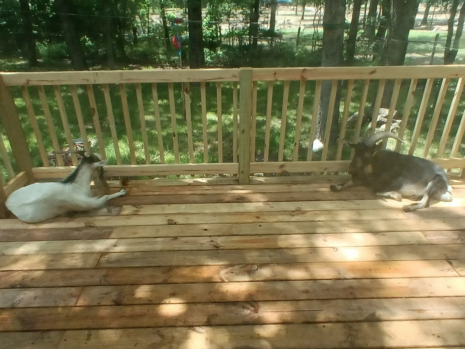 New front and Back Deck.