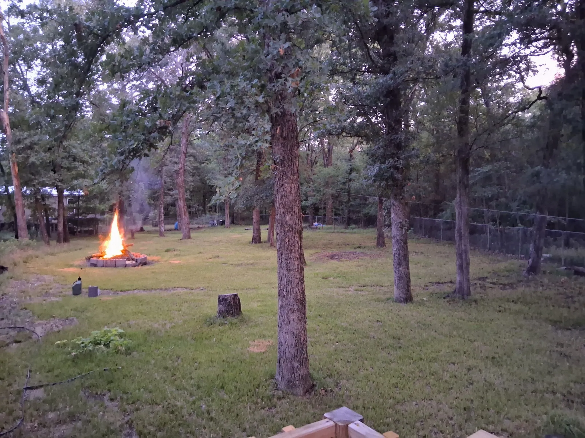 Expansive backyard with mature trees, a built-in fire pit, and chain-link fencing