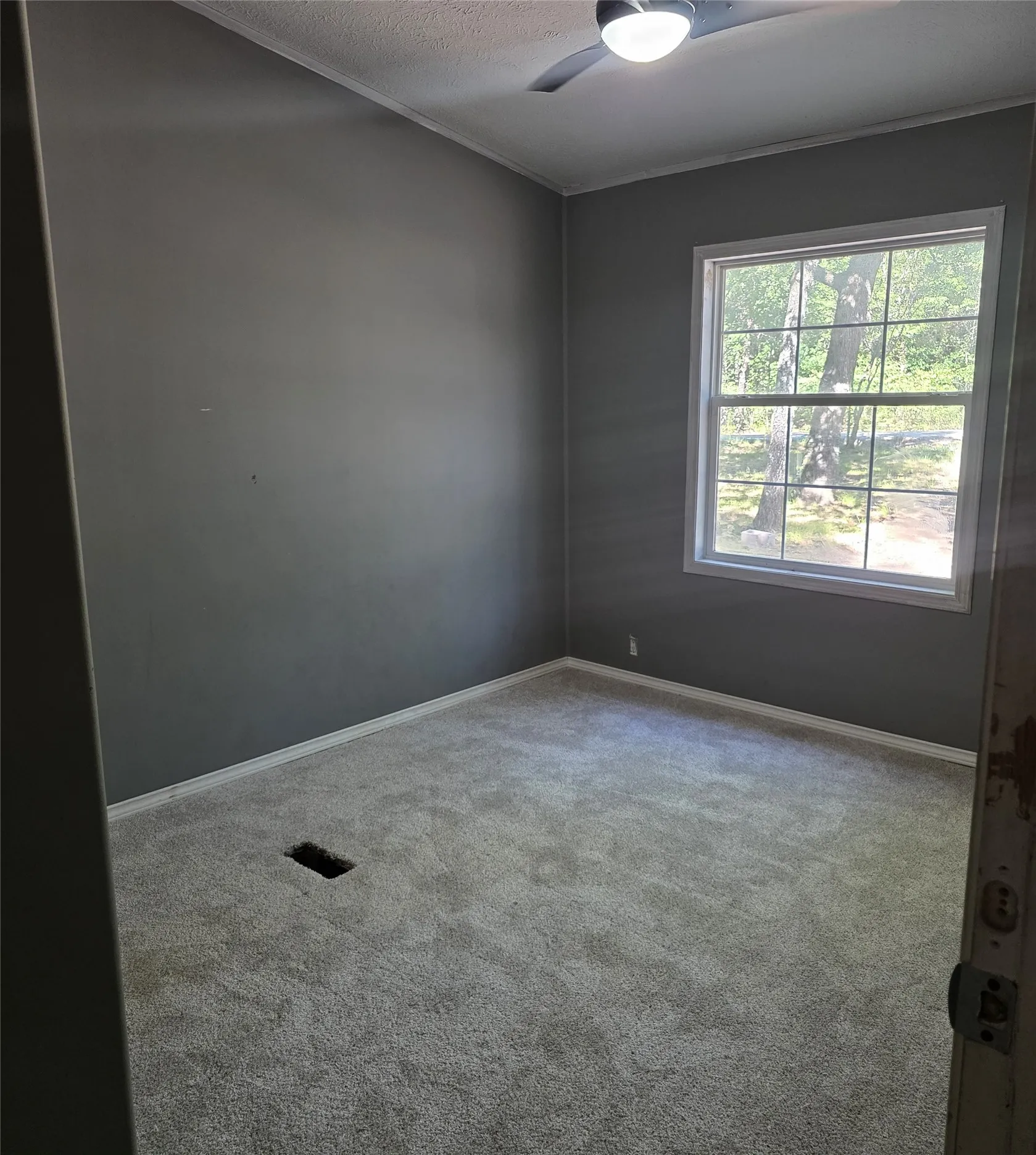 Neutral gray wall finish, light gray carpeting, and a window with white trim