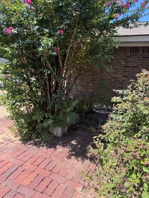 Single Family Residence For Sale in Tarrant County , 2703 Capistrano Court S, Arlington, Texas 76015, 3 Bedroom, 2 Bathroom, 2 Garage spaces, 1,317 Sqft, built in 1981, mls#21359952, Real Estate Agent in Arlington, Homes For Sale in Tarrant county, Homes For Sale in Arlington, Realtor in Arlington Texas, Real Estate Brokerage Independent Realty Texas, Luminita Cordes Realtor