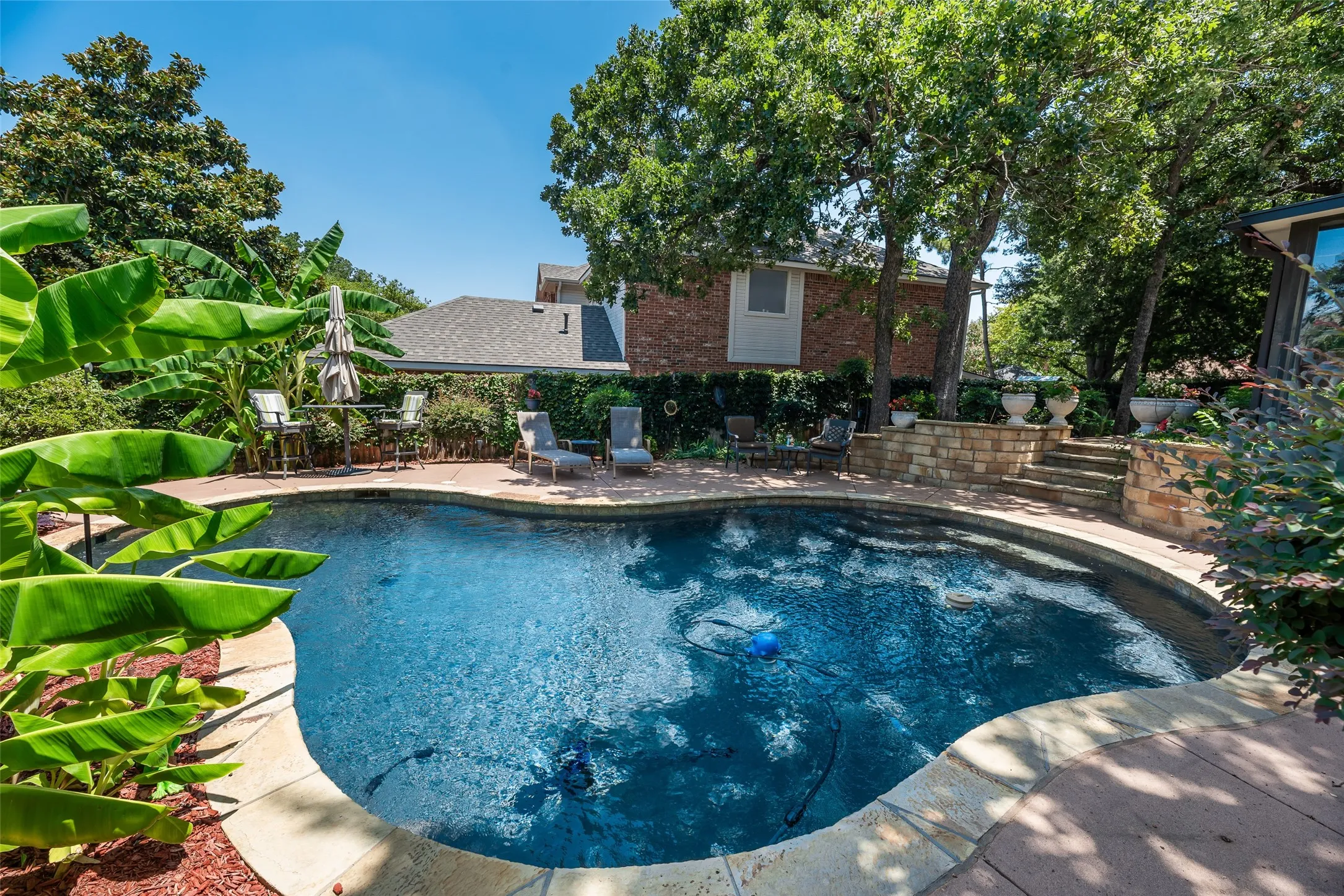 Freeform swimming pool with stone coping, surrounded by mature trees and lush landscaping