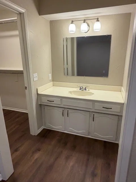 Wood-finish flooring, vanity with integrated sink, built-in cabinetry, wall-mounted mirror, and overhead lighting fixture