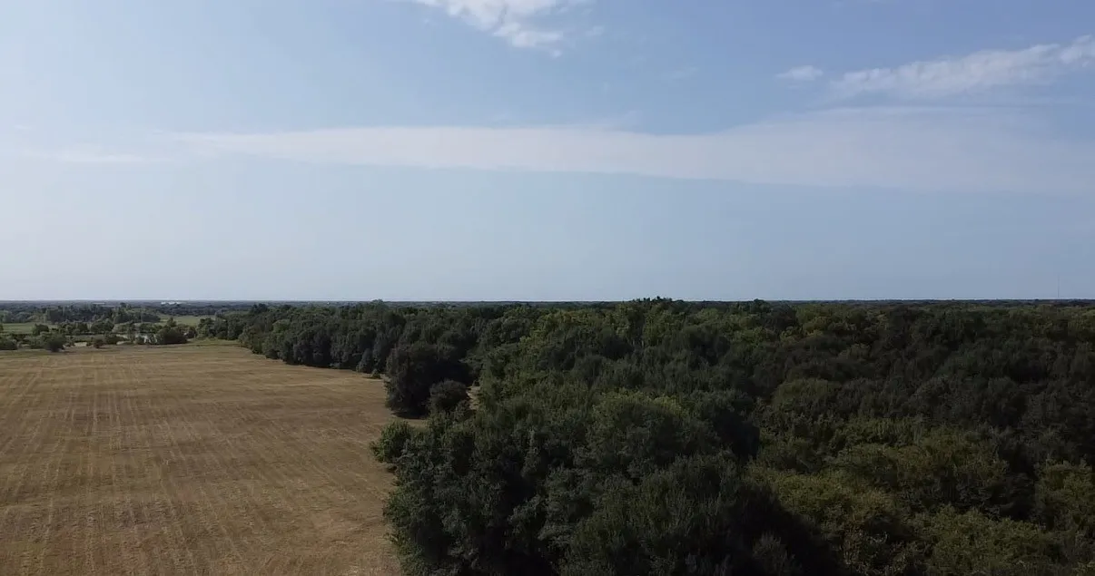 Unimproved Land For Sale in Kaufman County , TBD County Road 314, Terrell, Texas 75161, 0, 0, Garage spaces, 0 Sqft, built in 0, Price $1,100,640, mls#21360740, Real Estate Agent in Terrell, Homes For Sale in Kaufman county, Homes For Sale in Terrell, Realtor in Terrell Texas, Real Estate Brokerage Independent Realty Texas, Luminita Cordes Realtor