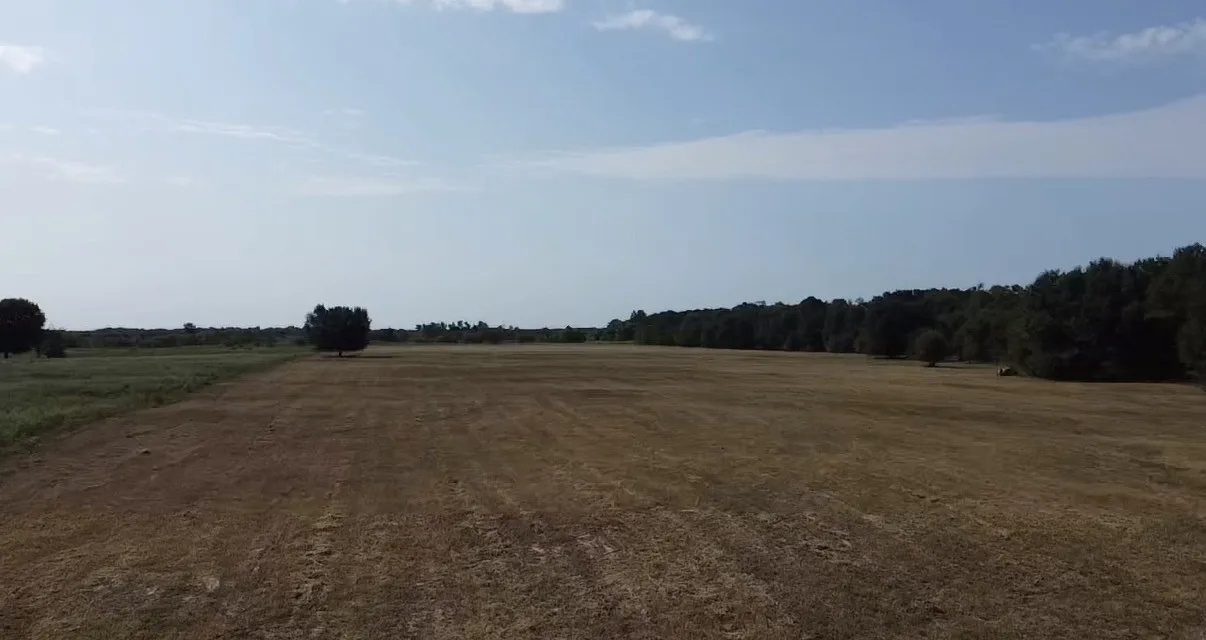 Unimproved Land For Sale in Kaufman County , TBD County Road 314, Terrell, Texas 75161, 0, 0, Garage spaces, 0 Sqft, built in 0, Price $1,100,640, mls#21360740, Real Estate Agent in Terrell, Homes For Sale in Kaufman county, Homes For Sale in Terrell, Realtor in Terrell Texas, Real Estate Brokerage Independent Realty Texas, Luminita Cordes Realtor