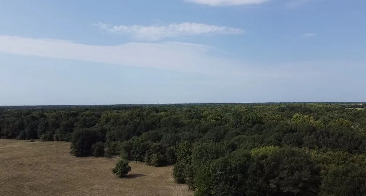 Unimproved Land For Sale in Kaufman County , TBD County Road 314, Terrell, Texas 75161, 0, 0, Garage spaces, 0 Sqft, built in 0, Price $1,100,640, mls#21360740, Real Estate Agent in Terrell, Homes For Sale in Kaufman county, Homes For Sale in Terrell, Realtor in Terrell Texas, Real Estate Brokerage Independent Realty Texas, Luminita Cordes Realtor