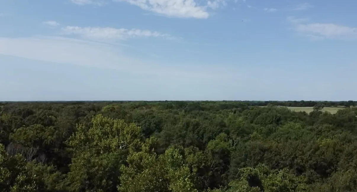 Unimproved Land For Sale in Kaufman County , TBD County Road 314, Terrell, Texas 75161, 0, 0, Garage spaces, 0 Sqft, built in 0, Price $1,100,640, mls#21360740, Real Estate Agent in Terrell, Homes For Sale in Kaufman county, Homes For Sale in Terrell, Realtor in Terrell Texas, Real Estate Brokerage Independent Realty Texas, Luminita Cordes Realtor