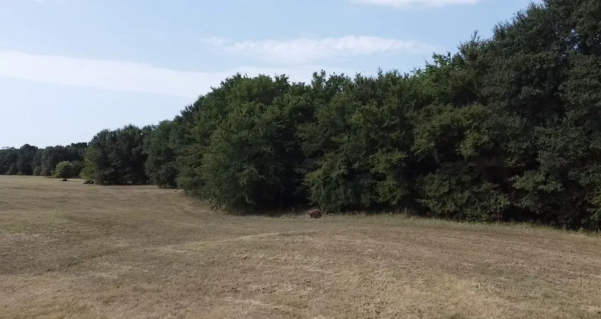 Unimproved Land For Sale in Kaufman County , TBD County Road 314, Terrell, Texas 75161, 0, 0, Garage spaces, 0 Sqft, built in 0, Price $1,100,640, mls#21360740, Real Estate Agent in Terrell, Homes For Sale in Kaufman county, Homes For Sale in Terrell, Realtor in Terrell Texas, Real Estate Brokerage Independent Realty Texas, Luminita Cordes Realtor