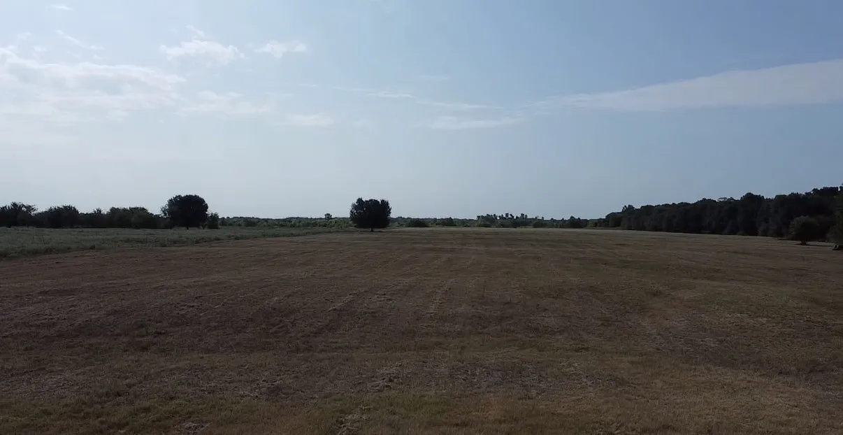 Unimproved Land For Sale in Kaufman County , TBD County Road 314, Terrell, Texas 75161, 0, 0, Garage spaces, 0 Sqft, built in 0, Price $1,100,640, mls#21360740, Real Estate Agent in Terrell, Homes For Sale in Kaufman county, Homes For Sale in Terrell, Realtor in Terrell Texas, Real Estate Brokerage Independent Realty Texas, Luminita Cordes Realtor
