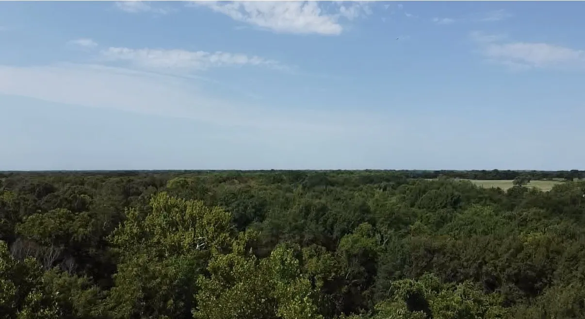 Unimproved Land For Sale in Kaufman County , TBD County Road 314, Terrell, Texas 75161, 0, 0, Garage spaces, 0 Sqft, built in 0, Price $1,100,640, mls#21360740, Real Estate Agent in Terrell, Homes For Sale in Kaufman county, Homes For Sale in Terrell, Realtor in Terrell Texas, Real Estate Brokerage Independent Realty Texas, Luminita Cordes Realtor