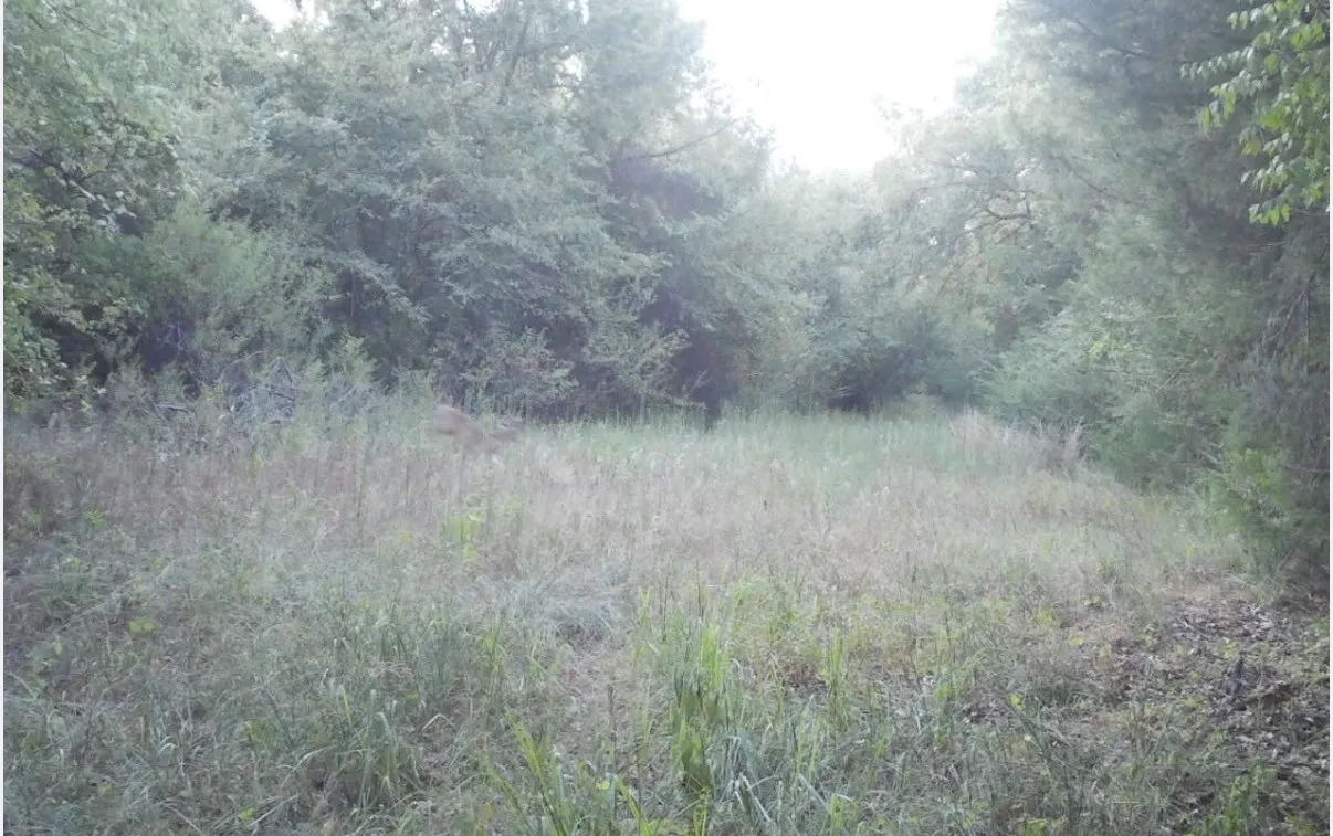Unimproved Land For Sale in Kaufman County , TBD County Road 314, Terrell, Texas 75161, 0, 0, Garage spaces, 0 Sqft, built in 0, Price $1,100,640, mls#21360740, Real Estate Agent in Terrell, Homes For Sale in Kaufman county, Homes For Sale in Terrell, Realtor in Terrell Texas, Real Estate Brokerage Independent Realty Texas, Luminita Cordes Realtor