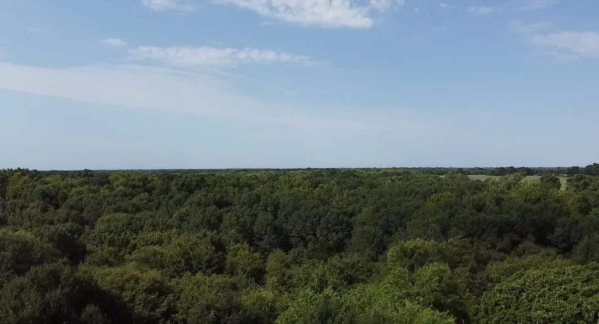 Unimproved Land For Sale in Kaufman County , TBD County Road 314, Terrell, Texas 75161, 0, 0, Garage spaces, 0 Sqft, built in 0, Price $1,100,640, mls#21360740, Real Estate Agent in Terrell, Homes For Sale in Kaufman county, Homes For Sale in Terrell, Realtor in Terrell Texas, Real Estate Brokerage Independent Realty Texas, Luminita Cordes Realtor
