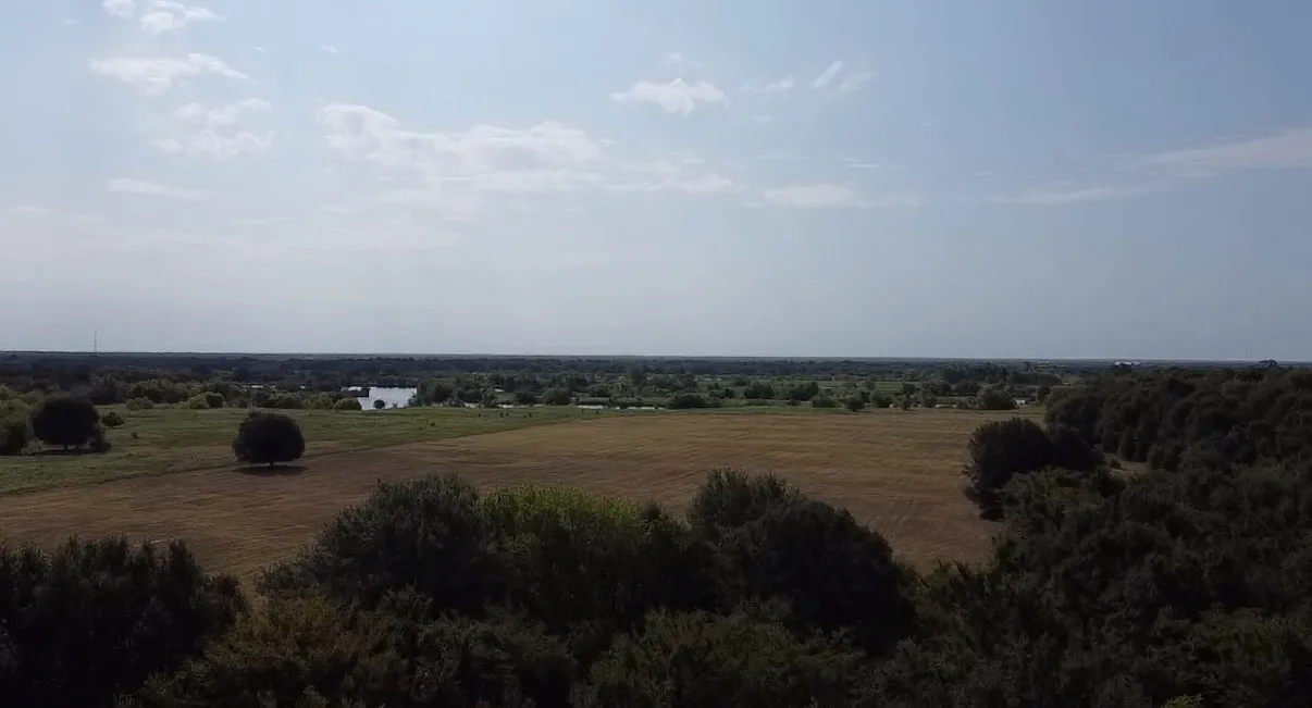 Unimproved Land For Sale in Kaufman County , TBD County Road 314, Terrell, Texas 75161, 0, 0, Garage spaces, 0 Sqft, built in 0, Price $1,100,640, mls#21360740, Real Estate Agent in Terrell, Homes For Sale in Kaufman county, Homes For Sale in Terrell, Realtor in Terrell Texas, Real Estate Brokerage Independent Realty Texas, Luminita Cordes Realtor