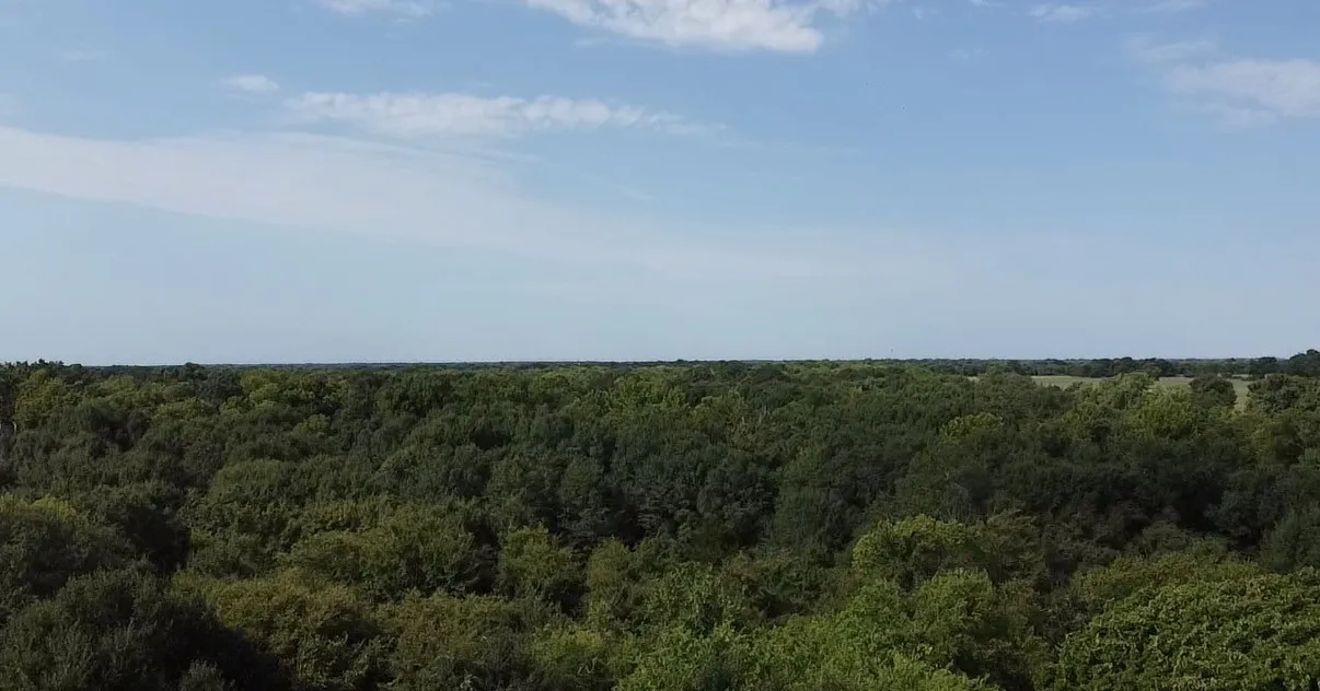 Unimproved Land For Sale in Kaufman County , TBD County Road 314, Terrell, Texas 75161, 0, 0, Garage spaces, 0 Sqft, built in 0, Price $1,100,640, mls#21360740, Real Estate Agent in Terrell, Homes For Sale in Kaufman county, Homes For Sale in Terrell, Realtor in Terrell Texas, Real Estate Brokerage Independent Realty Texas, Luminita Cordes Realtor