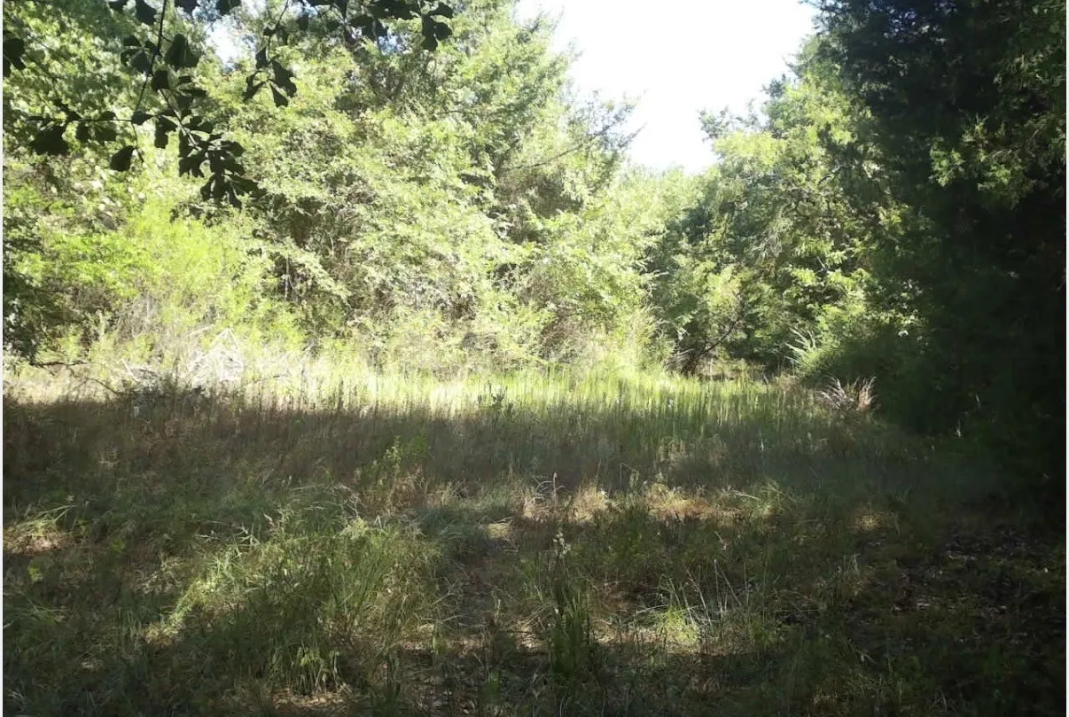 Unimproved Land For Sale in Kaufman County , TBD County Road 314, Terrell, Texas 75161, 0, 0, Garage spaces, 0 Sqft, built in 0, Price $1,100,640, mls#21360740, Real Estate Agent in Terrell, Homes For Sale in Kaufman county, Homes For Sale in Terrell, Realtor in Terrell Texas, Real Estate Brokerage Independent Realty Texas, Luminita Cordes Realtor