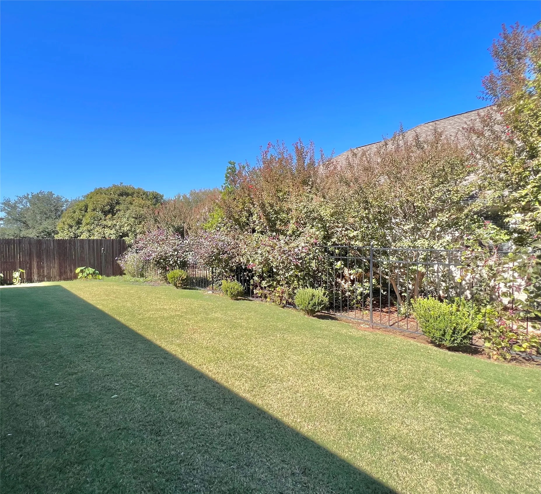 Expansive grassy yard with a wooden privacy fence, wrought iron fence, and mature landscaping