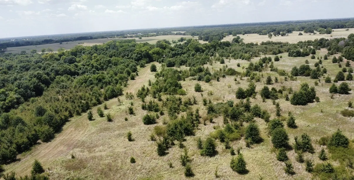 Improved Land For Sale in Kaufman County , 9574 County Road 314 Road, Terrell, Texas 75161, 0, 0, Garage spaces, 0 Sqft, built in 0, mls#21360797, Real Estate Agent in Terrell, Homes For Sale in Kaufman county, Homes For Sale in Terrell, Realtor in Terrell Texas, Real Estate Brokerage Independent Realty Texas, Luminita Cordes Realtor