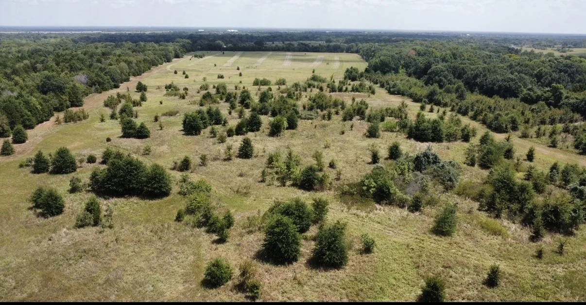 Improved Land For Sale in Kaufman County , 9574 County Road 314 Road, Terrell, Texas 75161, 0, 0, Garage spaces, 0 Sqft, built in 0, mls#21360797, Real Estate Agent in Terrell, Homes For Sale in Kaufman county, Homes For Sale in Terrell, Realtor in Terrell Texas, Real Estate Brokerage Independent Realty Texas, Luminita Cordes Realtor