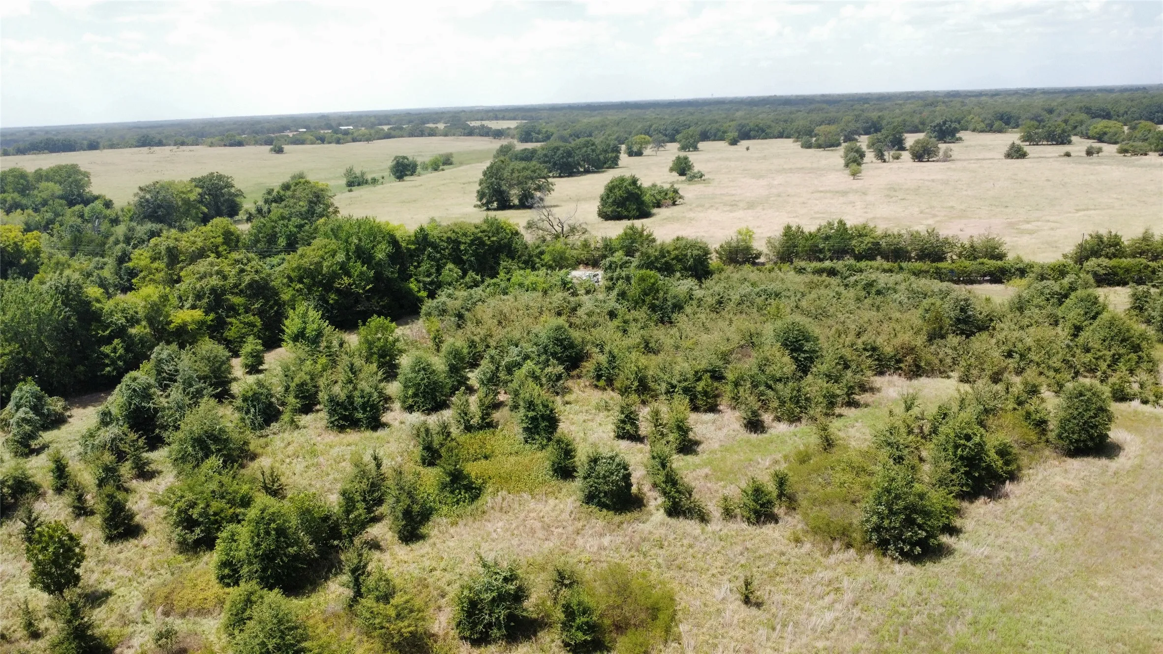 Improved Land For Sale in Kaufman County , 9574 County Road 314 Road, Terrell, Texas 75161, 0, 0, Garage spaces, 0 Sqft, built in 0, mls#21360797, Real Estate Agent in Terrell, Homes For Sale in Kaufman county, Homes For Sale in Terrell, Realtor in Terrell Texas, Real Estate Brokerage Independent Realty Texas, Luminita Cordes Realtor
