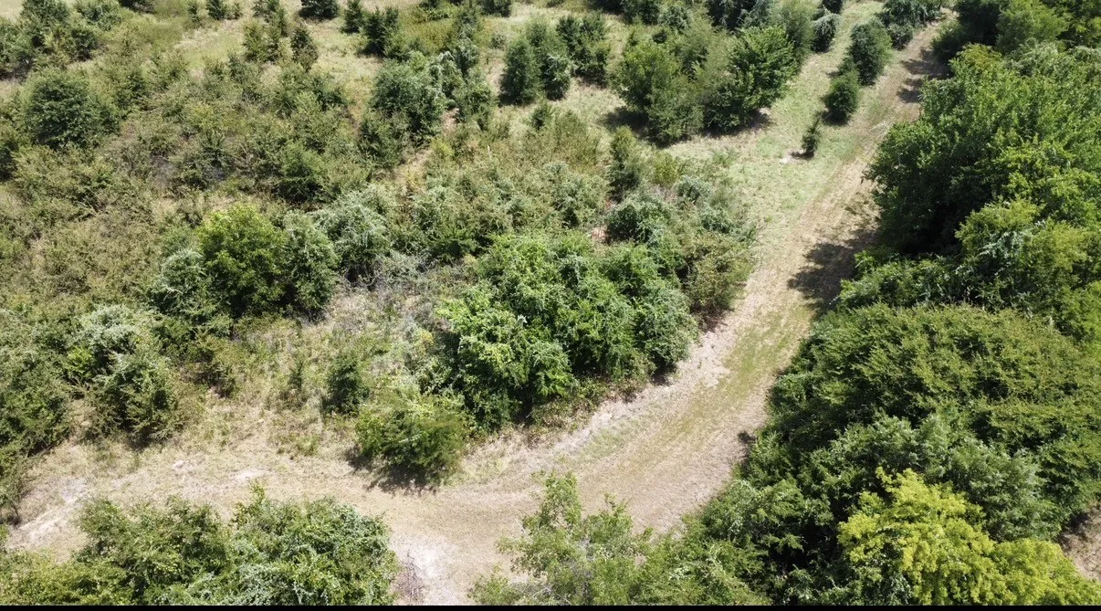 Improved Land For Sale in Kaufman County , 9574 County Road 314 Road, Terrell, Texas 75161, 0, 0, Garage spaces, 0 Sqft, built in 0, mls#21360797, Real Estate Agent in Terrell, Homes For Sale in Kaufman county, Homes For Sale in Terrell, Realtor in Terrell Texas, Real Estate Brokerage Independent Realty Texas, Luminita Cordes Realtor