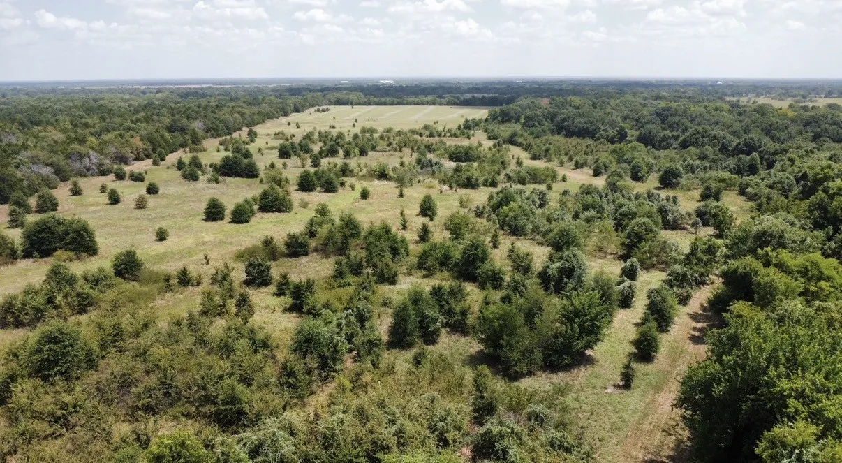Improved Land For Sale in Kaufman County , 9574 County Road 314 Road, Terrell, Texas 75161, 0, 0, Garage spaces, 0 Sqft, built in 0, mls#21360797, Real Estate Agent in Terrell, Homes For Sale in Kaufman county, Homes For Sale in Terrell, Realtor in Terrell Texas, Real Estate Brokerage Independent Realty Texas, Luminita Cordes Realtor