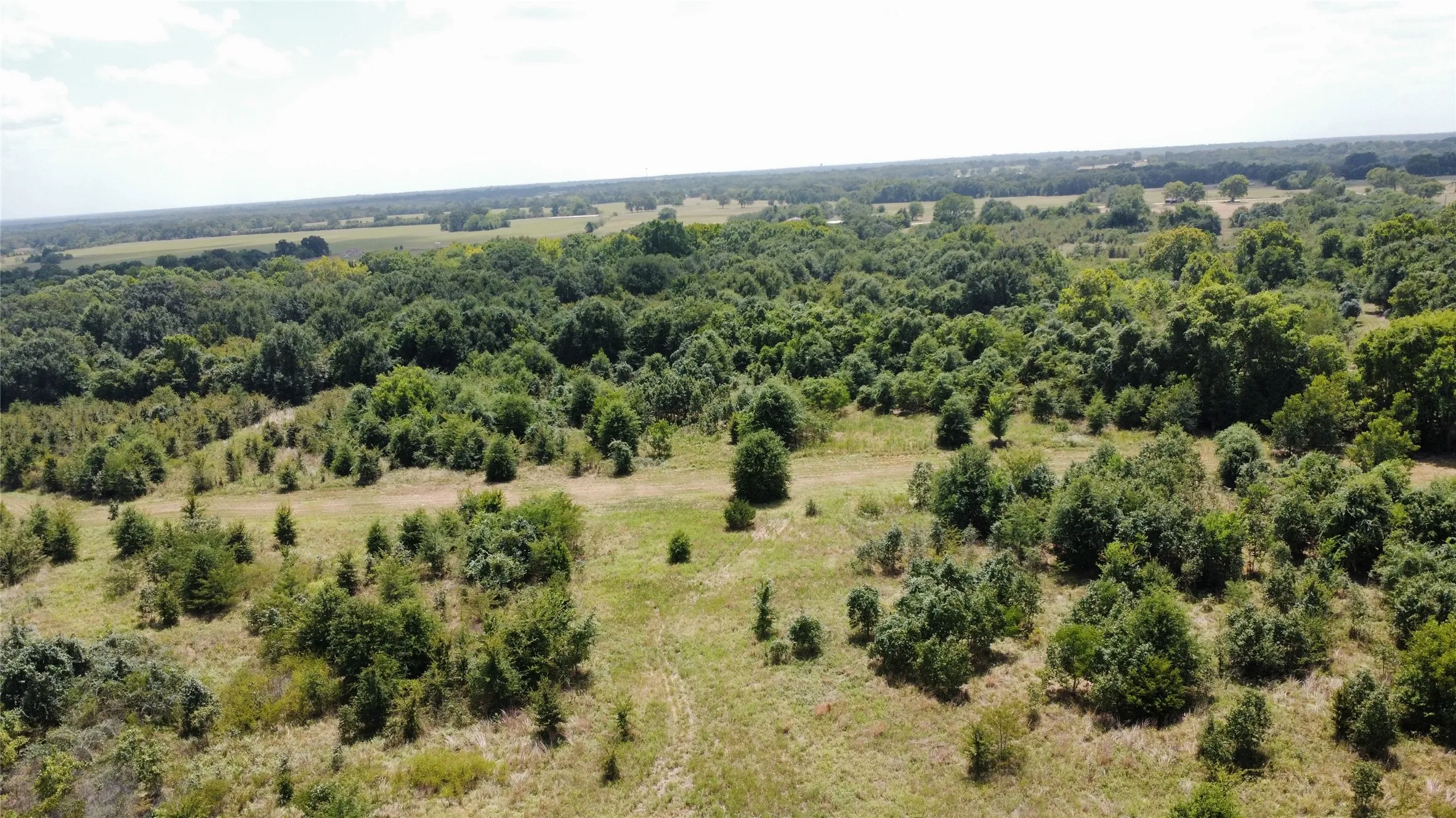 Improved Land For Sale in Kaufman County , 9574 County Road 314 Road, Terrell, Texas 75161, 0, 0, Garage spaces, 0 Sqft, built in 0, mls#21360797, Real Estate Agent in Terrell, Homes For Sale in Kaufman county, Homes For Sale in Terrell, Realtor in Terrell Texas, Real Estate Brokerage Independent Realty Texas, Luminita Cordes Realtor