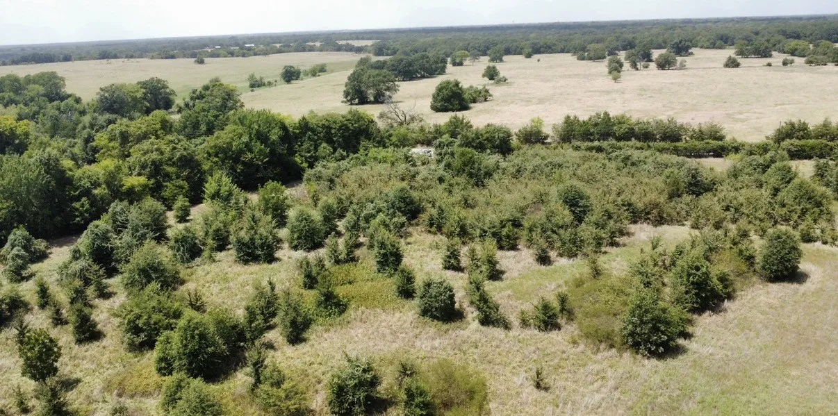 Improved Land For Sale in Kaufman County , 9574 County Road 314 Road, Terrell, Texas 75161, 0, 0, Garage spaces, 0 Sqft, built in 0, mls#21360797, Real Estate Agent in Terrell, Homes For Sale in Kaufman county, Homes For Sale in Terrell, Realtor in Terrell Texas, Real Estate Brokerage Independent Realty Texas, Luminita Cordes Realtor