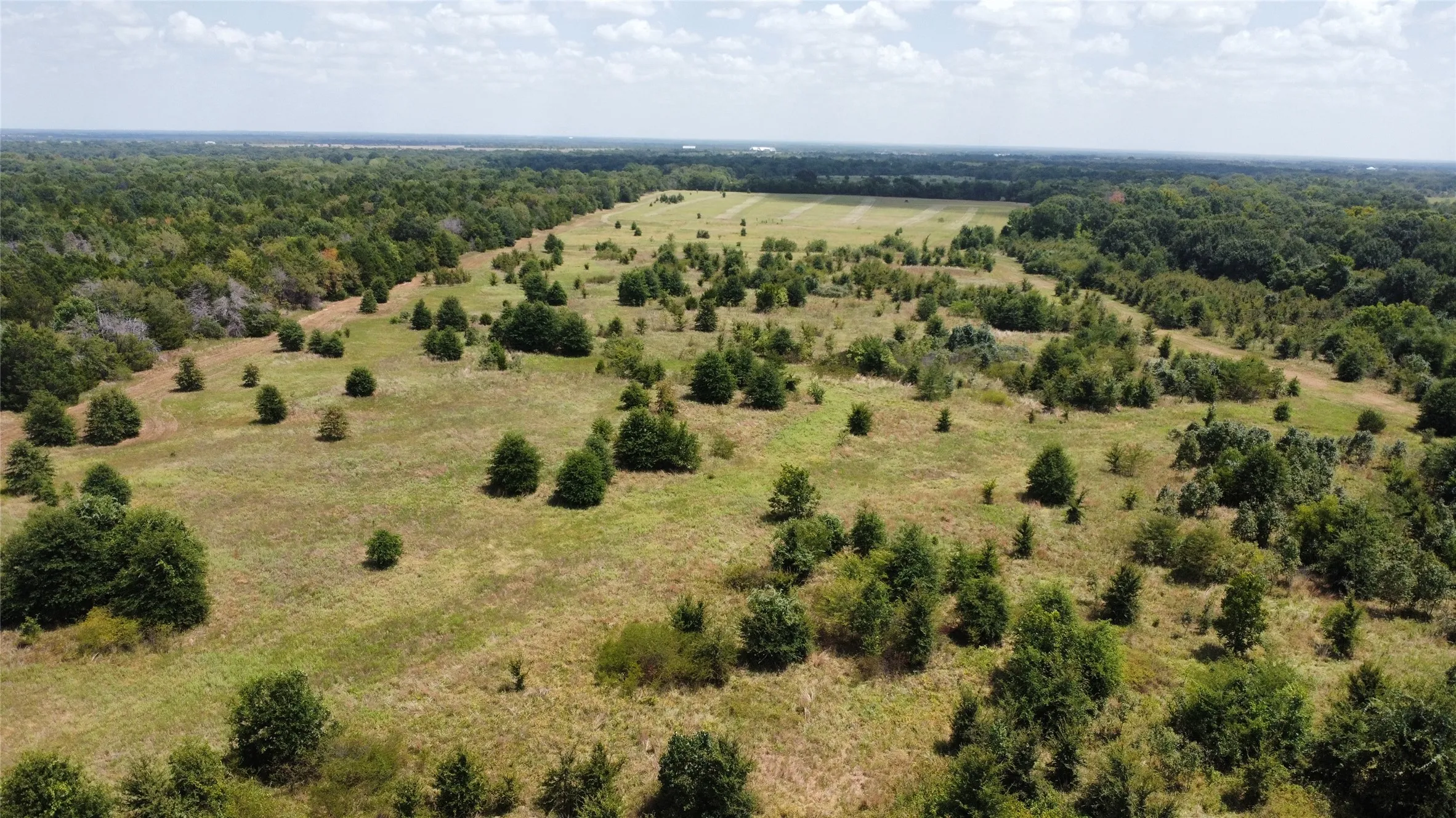 Improved Land For Sale in Kaufman County , 9574 County Road 314 Road, Terrell, Texas 75161, 0, 0, Garage spaces, 0 Sqft, built in 0, mls#21360797, Real Estate Agent in Terrell, Homes For Sale in Kaufman county, Homes For Sale in Terrell, Realtor in Terrell Texas, Real Estate Brokerage Independent Realty Texas, Luminita Cordes Realtor