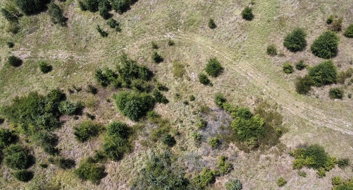 Improved Land For Sale in Kaufman County , 9574 County Road 314 Road, Terrell, Texas 75161, 0, 0, Garage spaces, 0 Sqft, built in 0, mls#21360797, Real Estate Agent in Terrell, Homes For Sale in Kaufman county, Homes For Sale in Terrell, Realtor in Terrell Texas, Real Estate Brokerage Independent Realty Texas, Luminita Cordes Realtor