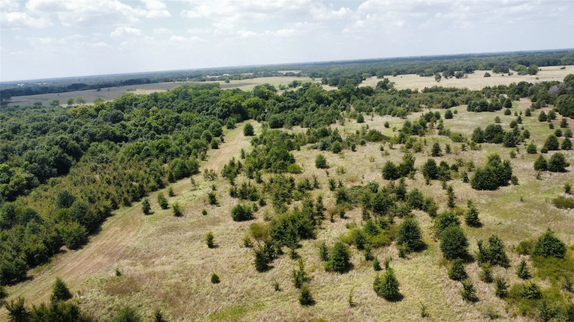 Improved Land For Sale in Kaufman County , 9574 County Road 314 Road, Terrell, Texas 75161, 0, 0, Garage spaces, 0 Sqft, built in 0, mls#21360797, Real Estate Agent in Terrell, Homes For Sale in Kaufman county, Homes For Sale in Terrell, Realtor in Terrell Texas, Real Estate Brokerage Independent Realty Texas, Luminita Cordes Realtor