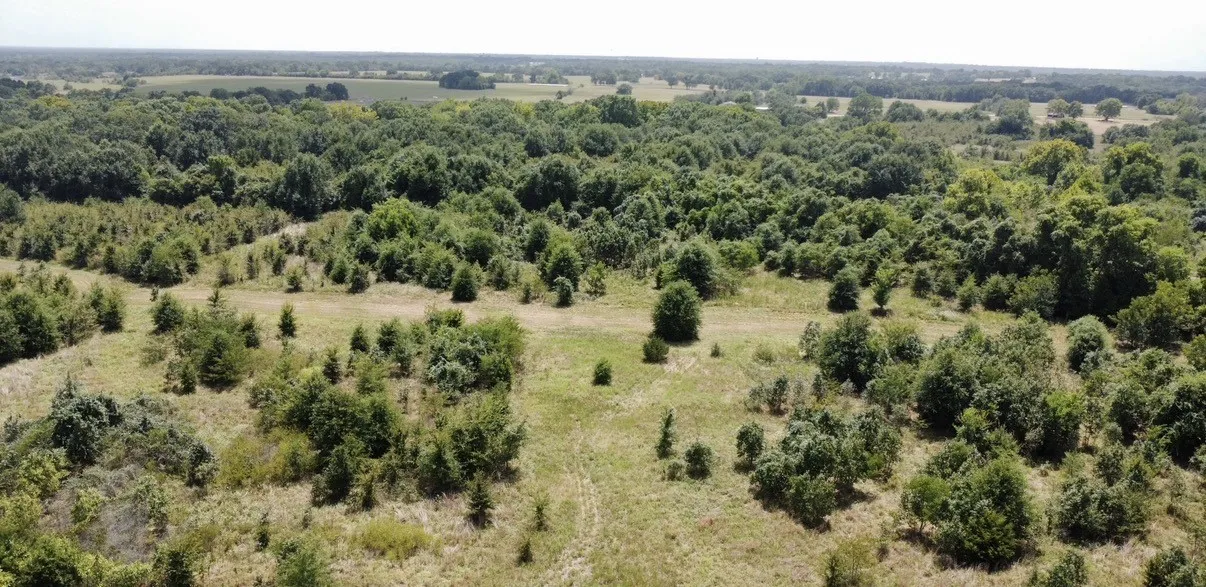 Improved Land For Sale in Kaufman County , 9574 County Road 314 Road, Terrell, Texas 75161, 0, 0, Garage spaces, 0 Sqft, built in 0, mls#21360797, Real Estate Agent in Terrell, Homes For Sale in Kaufman county, Homes For Sale in Terrell, Realtor in Terrell Texas, Real Estate Brokerage Independent Realty Texas, Luminita Cordes Realtor