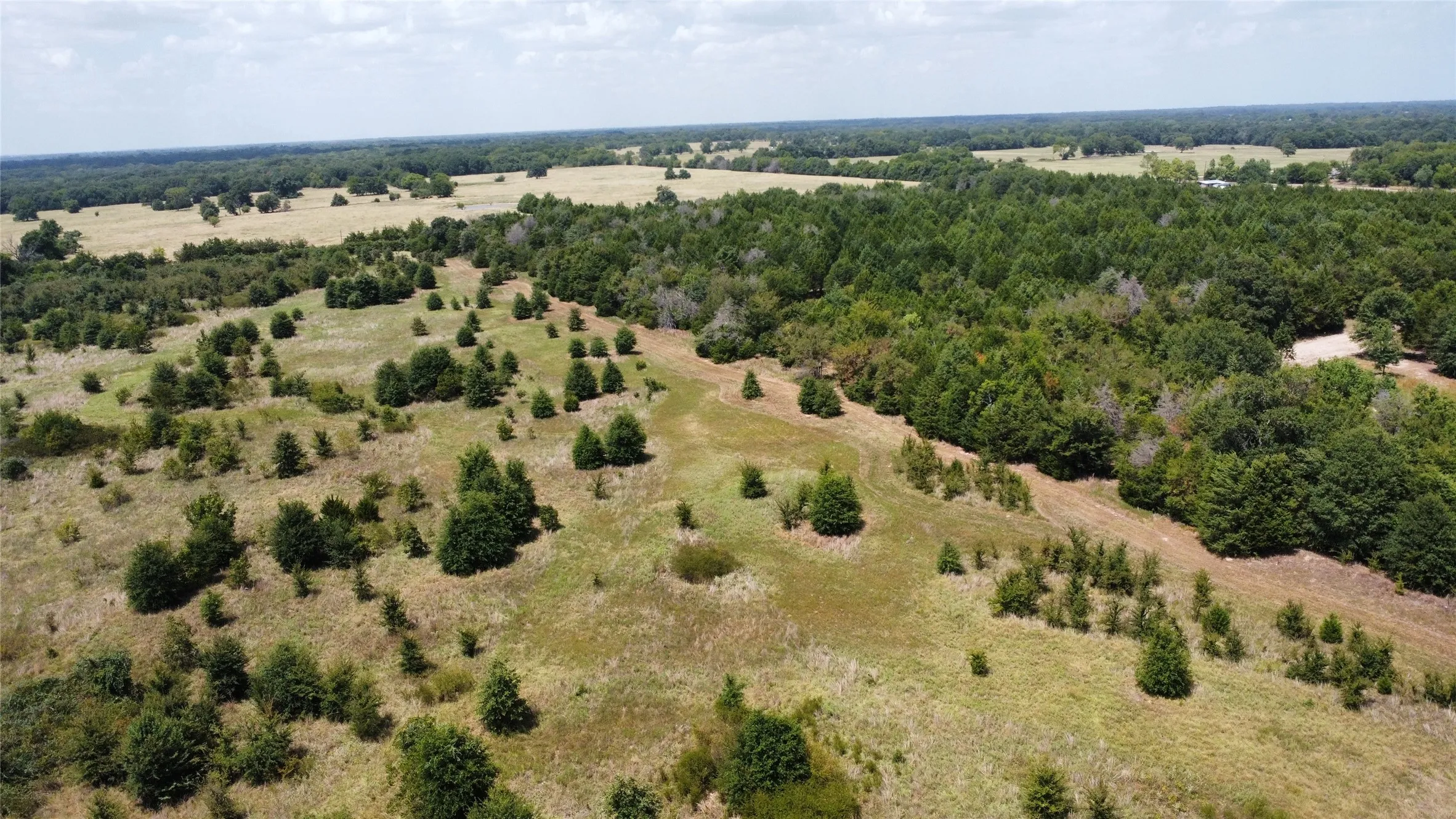 Improved Land For Sale in Kaufman County , 9574 County Road 314 Road, Terrell, Texas 75161, 0, 0, Garage spaces, 0 Sqft, built in 0, mls#21360797, Real Estate Agent in Terrell, Homes For Sale in Kaufman county, Homes For Sale in Terrell, Realtor in Terrell Texas, Real Estate Brokerage Independent Realty Texas, Luminita Cordes Realtor
