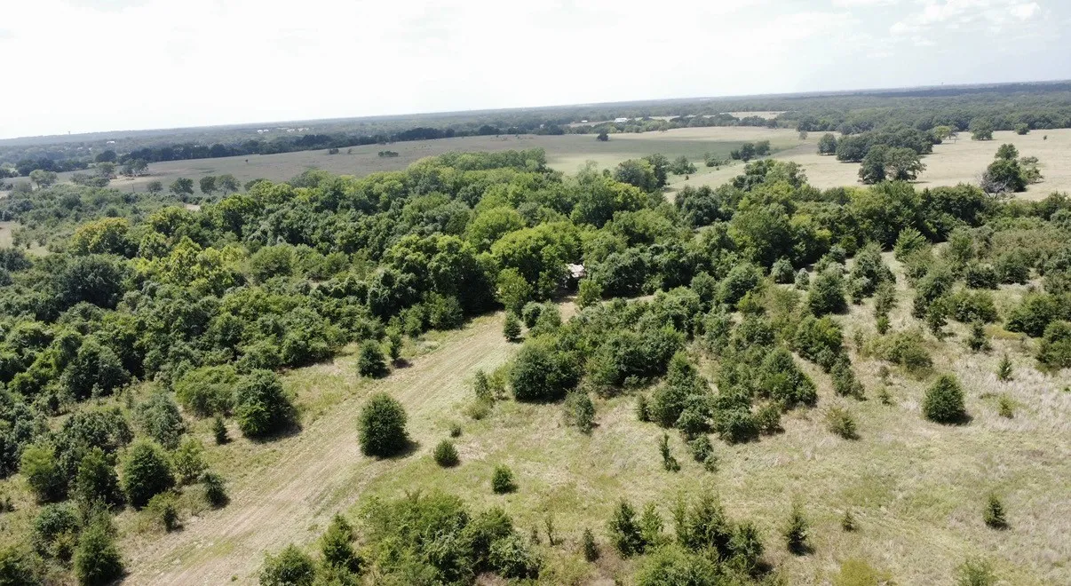 Improved Land For Sale in Kaufman County , 9574 County Road 314 Road, Terrell, Texas 75161, 0, 0, Garage spaces, 0 Sqft, built in 0, mls#21360797, Real Estate Agent in Terrell, Homes For Sale in Kaufman county, Homes For Sale in Terrell, Realtor in Terrell Texas, Real Estate Brokerage Independent Realty Texas, Luminita Cordes Realtor