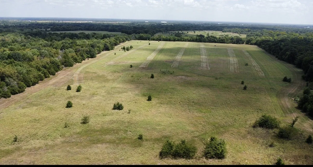 Improved Land For Sale in Kaufman County , 9574 County Road 314 Road, Terrell, Texas 75161, 0, 0, Garage spaces, 0 Sqft, built in 0, mls#21360797, Real Estate Agent in Terrell, Homes For Sale in Kaufman county, Homes For Sale in Terrell, Realtor in Terrell Texas, Real Estate Brokerage Independent Realty Texas, Luminita Cordes Realtor