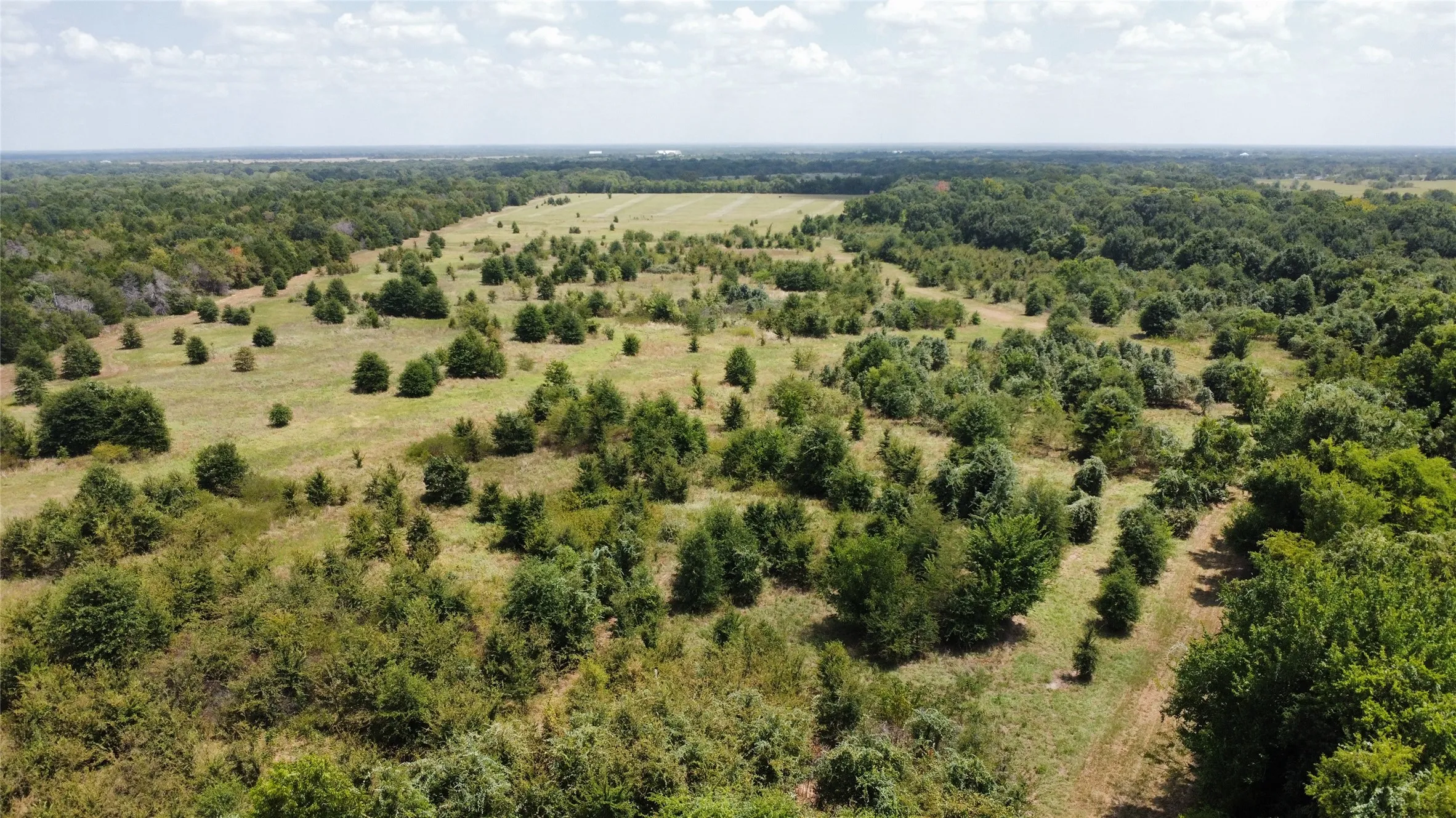Improved Land For Sale in Kaufman County , 9574 County Road 314 Road, Terrell, Texas 75161, 0, 0, Garage spaces, 0 Sqft, built in 0, mls#21360797, Real Estate Agent in Terrell, Homes For Sale in Kaufman county, Homes For Sale in Terrell, Realtor in Terrell Texas, Real Estate Brokerage Independent Realty Texas, Luminita Cordes Realtor