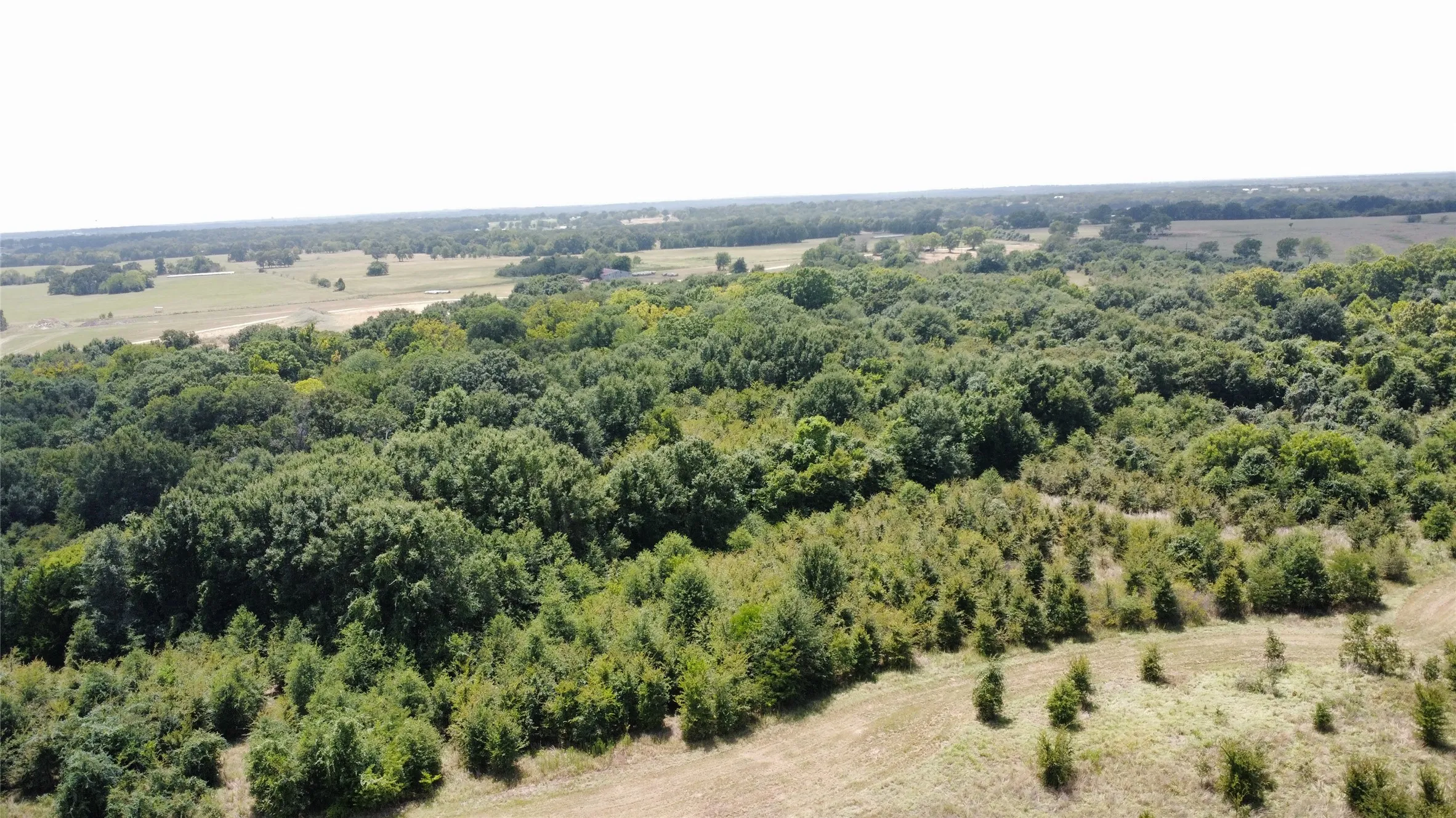 Improved Land For Sale in Kaufman County , 9574 County Road 314 Road, Terrell, Texas 75161, 0, 0, Garage spaces, 0 Sqft, built in 0, mls#21360797, Real Estate Agent in Terrell, Homes For Sale in Kaufman county, Homes For Sale in Terrell, Realtor in Terrell Texas, Real Estate Brokerage Independent Realty Texas, Luminita Cordes Realtor