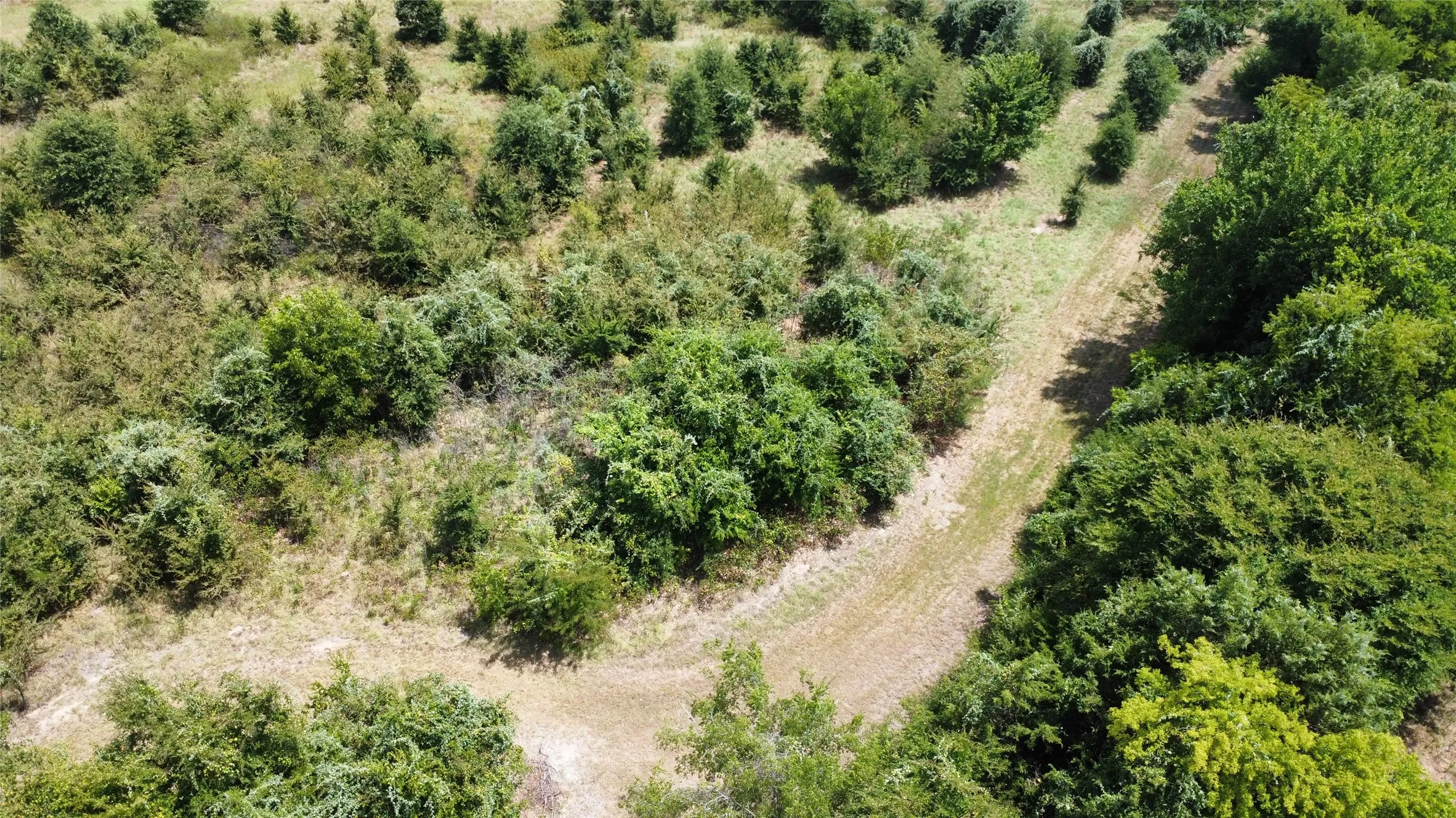 Improved Land For Sale in Kaufman County , 9574 County Road 314 Road, Terrell, Texas 75161, 0, 0, Garage spaces, 0 Sqft, built in 0, mls#21360797, Real Estate Agent in Terrell, Homes For Sale in Kaufman county, Homes For Sale in Terrell, Realtor in Terrell Texas, Real Estate Brokerage Independent Realty Texas, Luminita Cordes Realtor