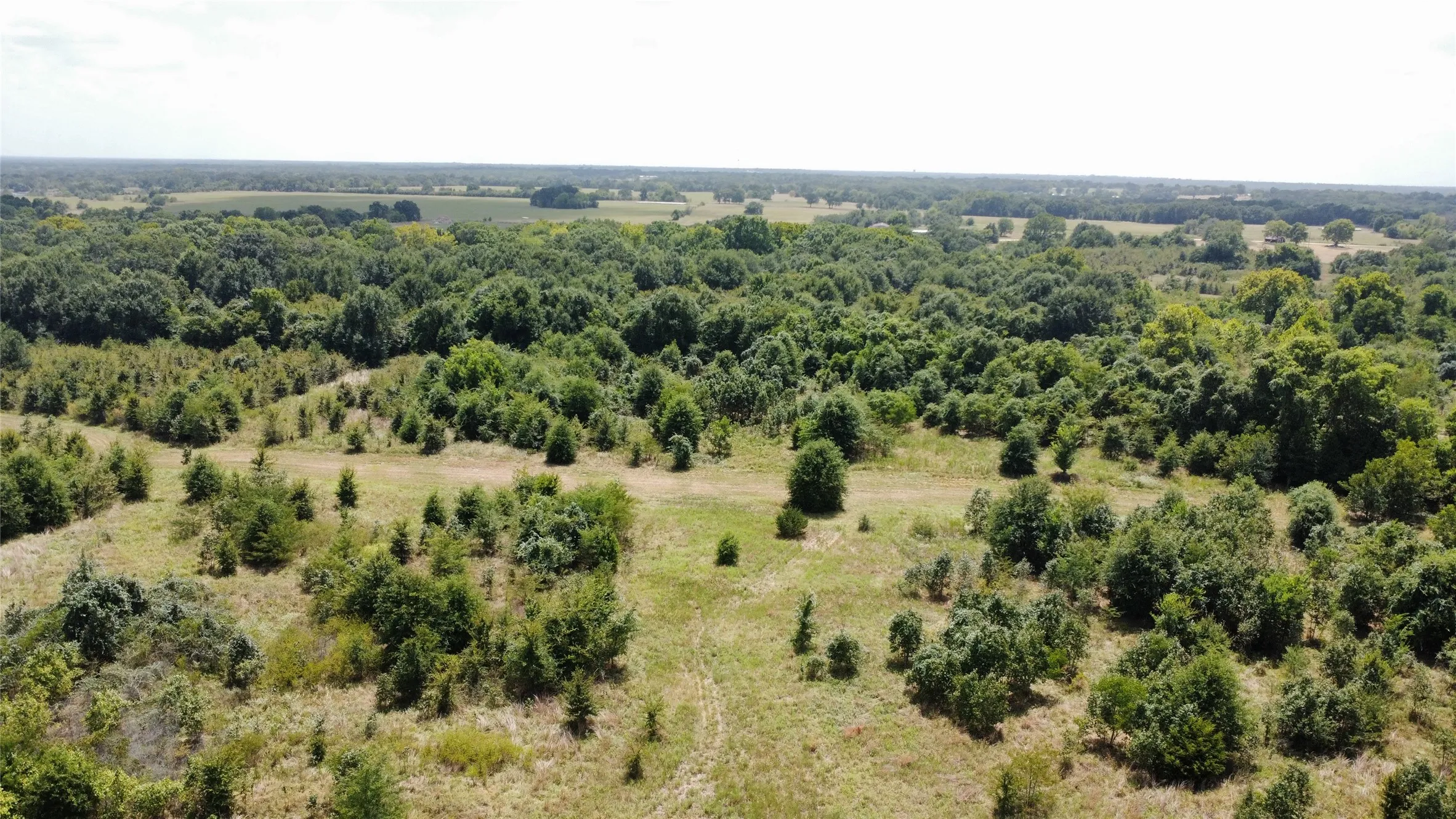Improved Land For Sale in Kaufman County , 9574 County Road 314 Road, Terrell, Texas 75161, 0, 0, Garage spaces, 0 Sqft, built in 0, mls#21360797, Real Estate Agent in Terrell, Homes For Sale in Kaufman county, Homes For Sale in Terrell, Realtor in Terrell Texas, Real Estate Brokerage Independent Realty Texas, Luminita Cordes Realtor