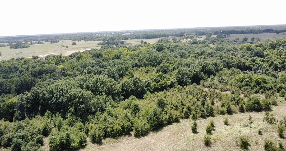 Improved Land For Sale in Kaufman County , 9574 County Road 314 Road, Terrell, Texas 75161, 0, 0, Garage spaces, 0 Sqft, built in 0, mls#21360797, Real Estate Agent in Terrell, Homes For Sale in Kaufman county, Homes For Sale in Terrell, Realtor in Terrell Texas, Real Estate Brokerage Independent Realty Texas, Luminita Cordes Realtor