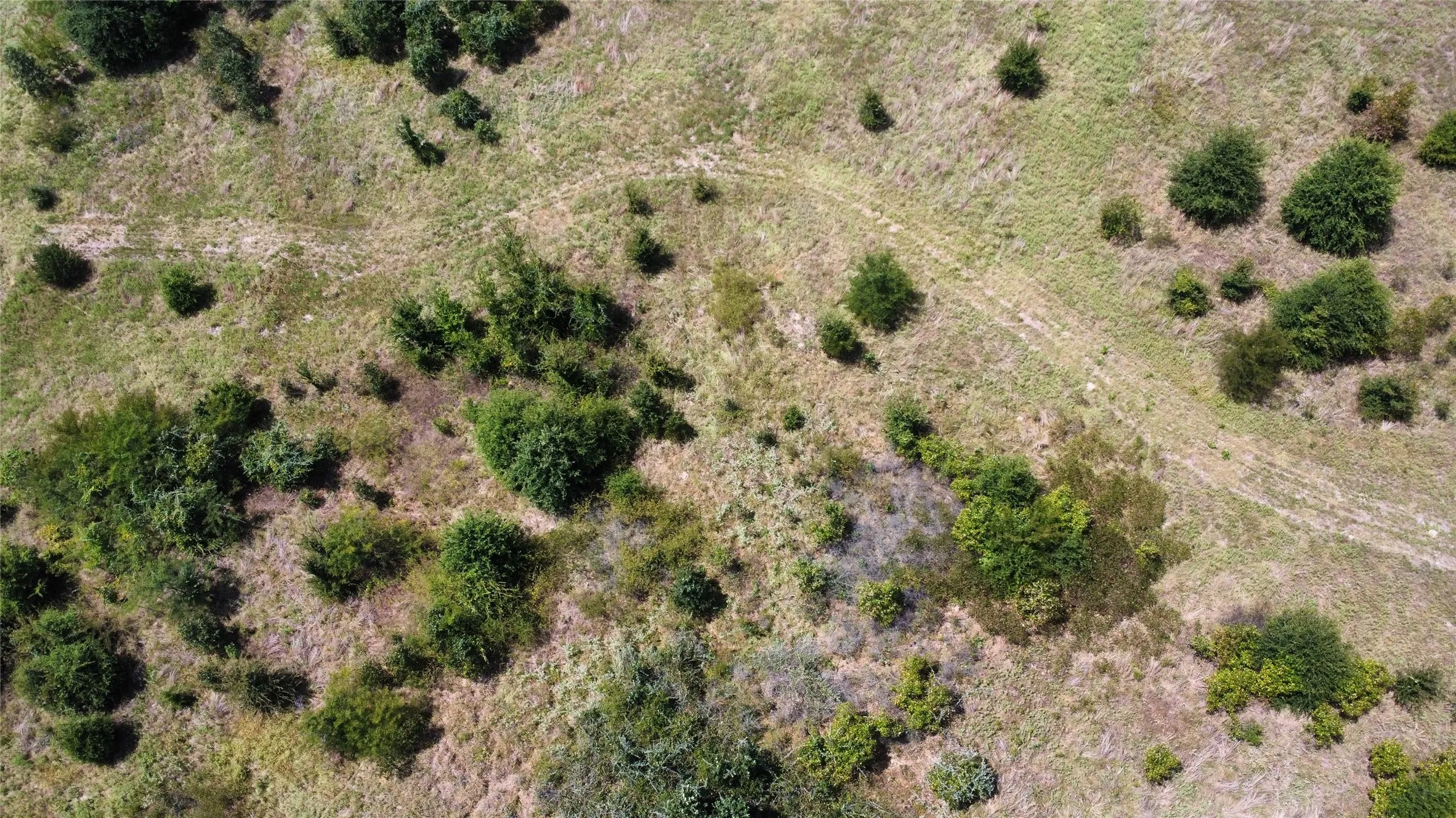Improved Land For Sale in Kaufman County , 9574 County Road 314 Road, Terrell, Texas 75161, 0, 0, Garage spaces, 0 Sqft, built in 0, mls#21360797, Real Estate Agent in Terrell, Homes For Sale in Kaufman county, Homes For Sale in Terrell, Realtor in Terrell Texas, Real Estate Brokerage Independent Realty Texas, Luminita Cordes Realtor
