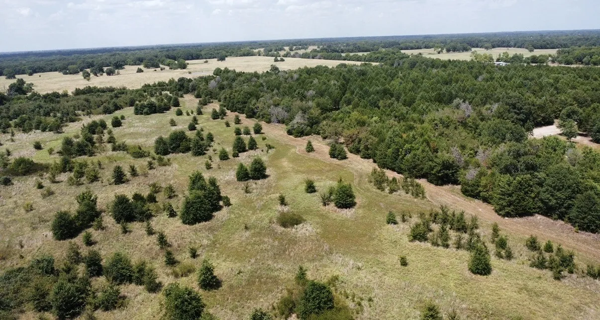 Improved Land For Sale in Kaufman County , 9574 County Road 314 Road, Terrell, Texas 75161, 0, 0, Garage spaces, 0 Sqft, built in 0, mls#21360797, Real Estate Agent in Terrell, Homes For Sale in Kaufman county, Homes For Sale in Terrell, Realtor in Terrell Texas, Real Estate Brokerage Independent Realty Texas, Luminita Cordes Realtor