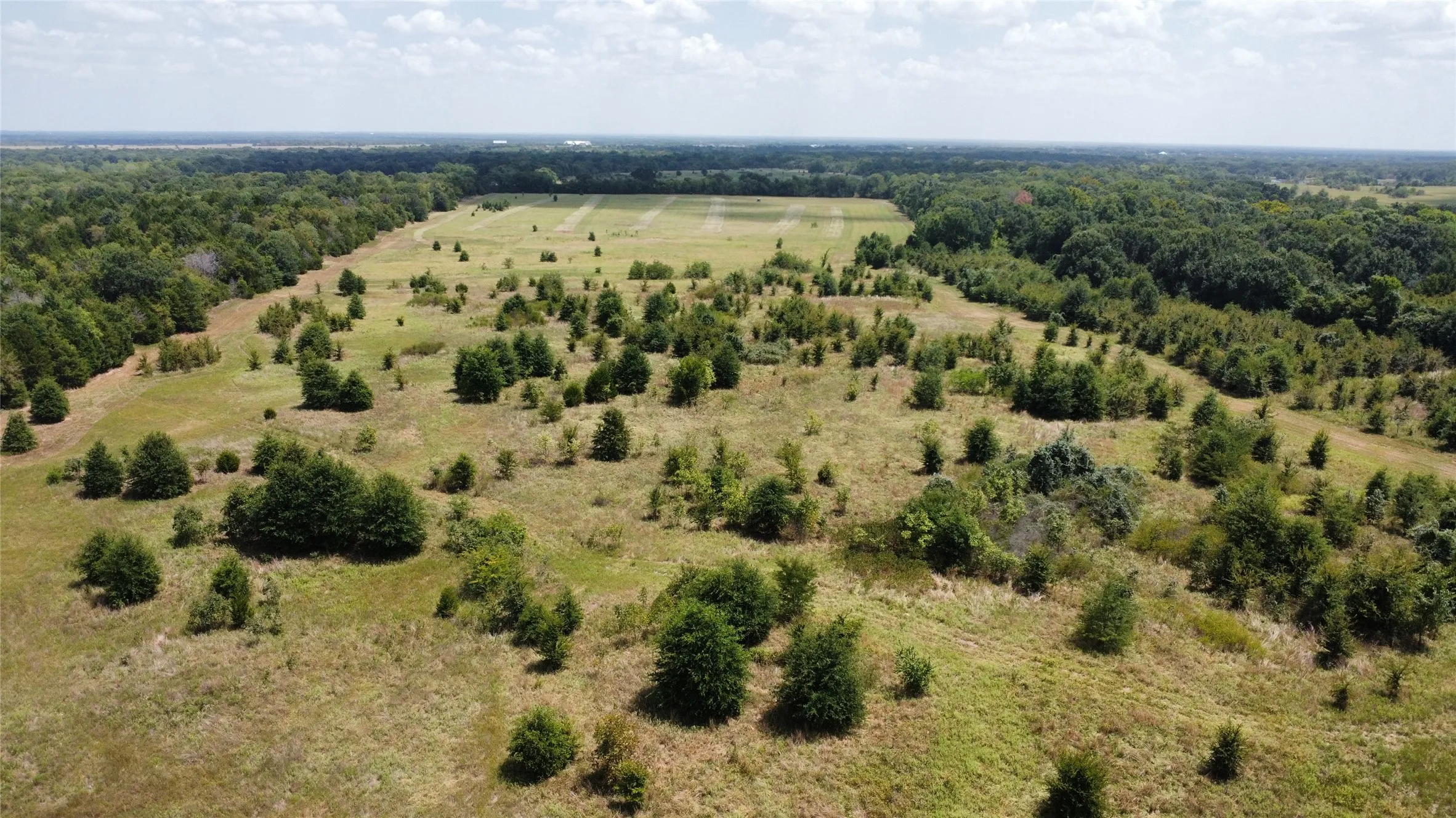 Improved Land For Sale in Kaufman County , 9574 County Road 314 Road, Terrell, Texas 75161, 0, 0, Garage spaces, 0 Sqft, built in 0, mls#21360797, Real Estate Agent in Terrell, Homes For Sale in Kaufman county, Homes For Sale in Terrell, Realtor in Terrell Texas, Real Estate Brokerage Independent Realty Texas, Luminita Cordes Realtor