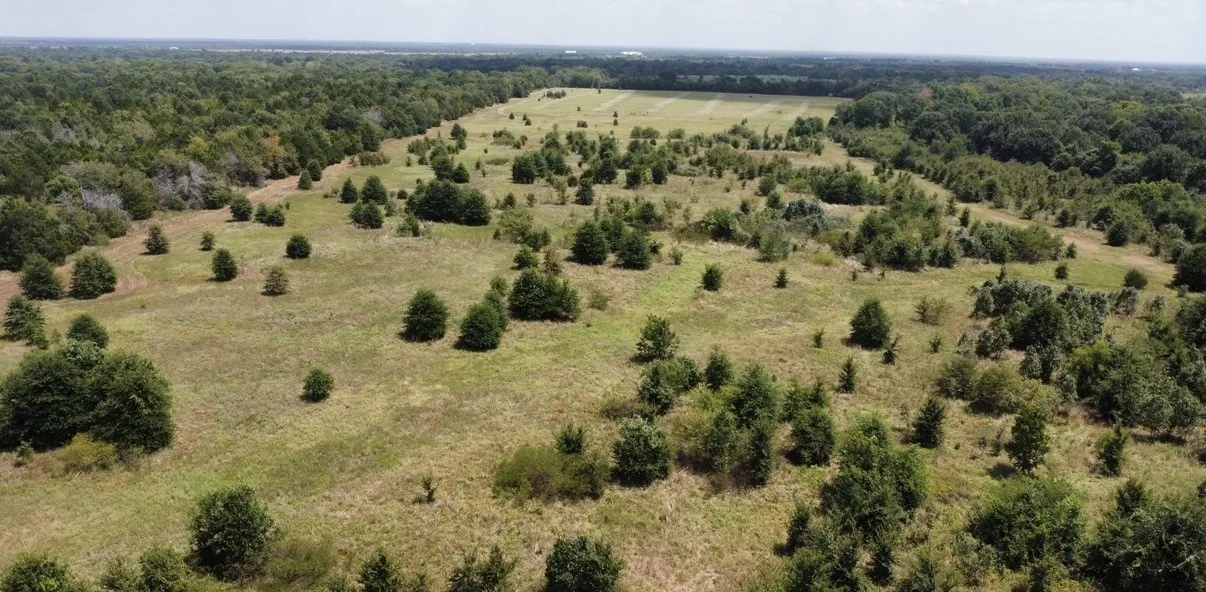 Improved Land For Sale in Kaufman County , 9574 County Road 314 Road, Terrell, Texas 75161, 0, 0, Garage spaces, 0 Sqft, built in 0, mls#21360797, Real Estate Agent in Terrell, Homes For Sale in Kaufman county, Homes For Sale in Terrell, Realtor in Terrell Texas, Real Estate Brokerage Independent Realty Texas, Luminita Cordes Realtor