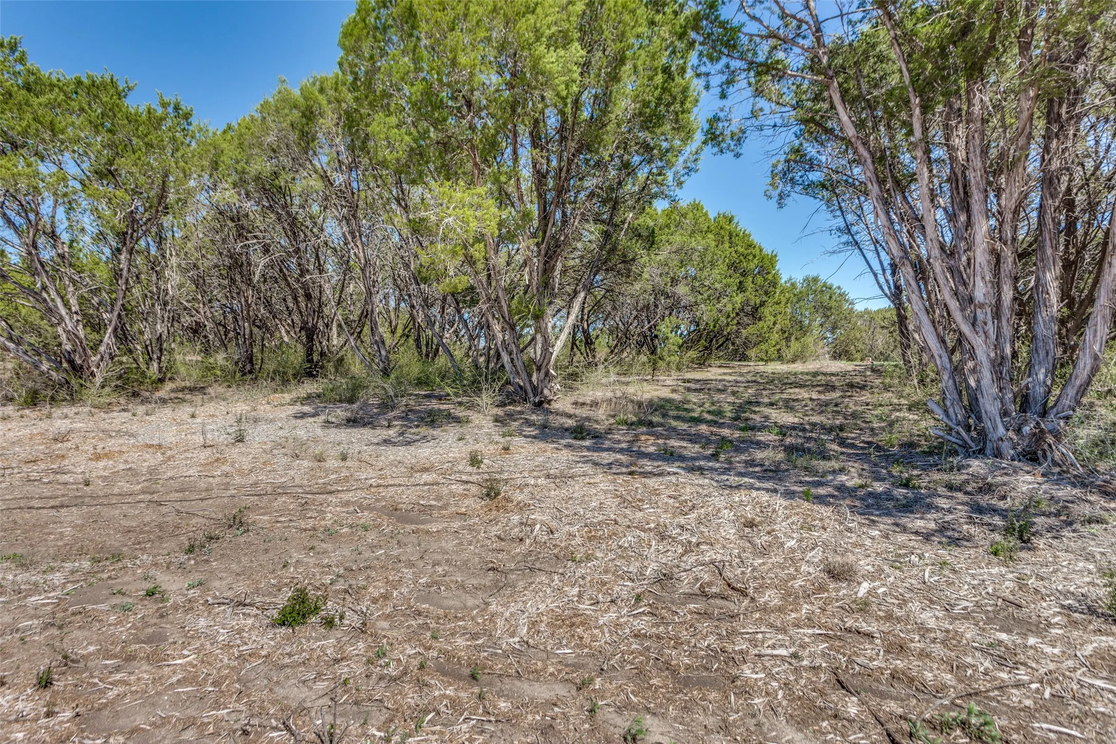 Unimproved Land For Sale in Johnson County , 9128 Hilltop Drive, Cleburne, Texas 76033, 0, 0, Garage spaces, 0 Sqft, built in 0, Price $180,000, mls#21360789, Real Estate Agent in Cleburne, Homes For Sale in Johnson county, Homes For Sale in Cleburne, Realtor in Cleburne Texas, Real Estate Brokerage Independent Realty Texas, Luminita Cordes Realtor
