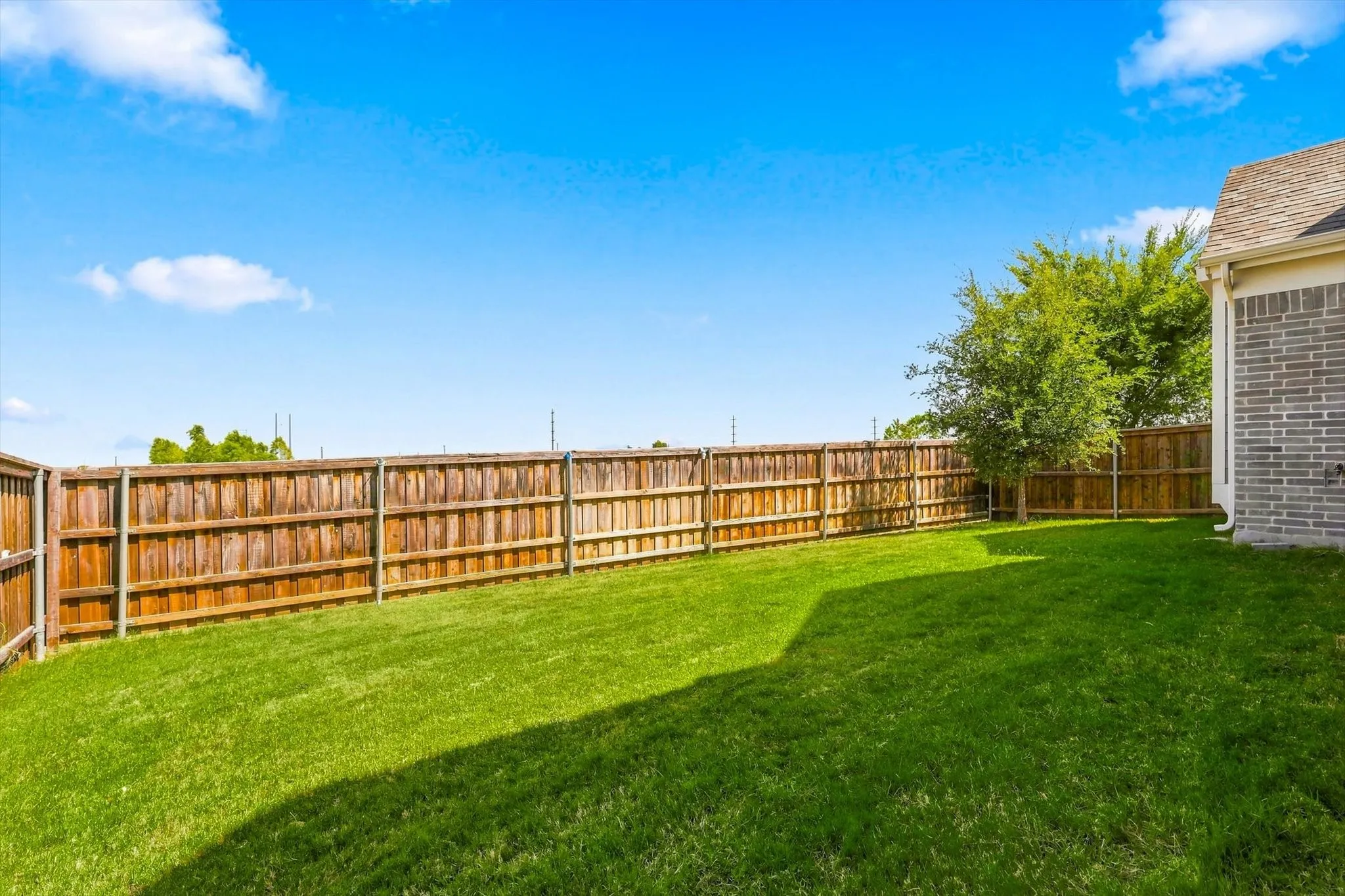 Expansive grass lawn with a full wood privacy fence and a mature tree