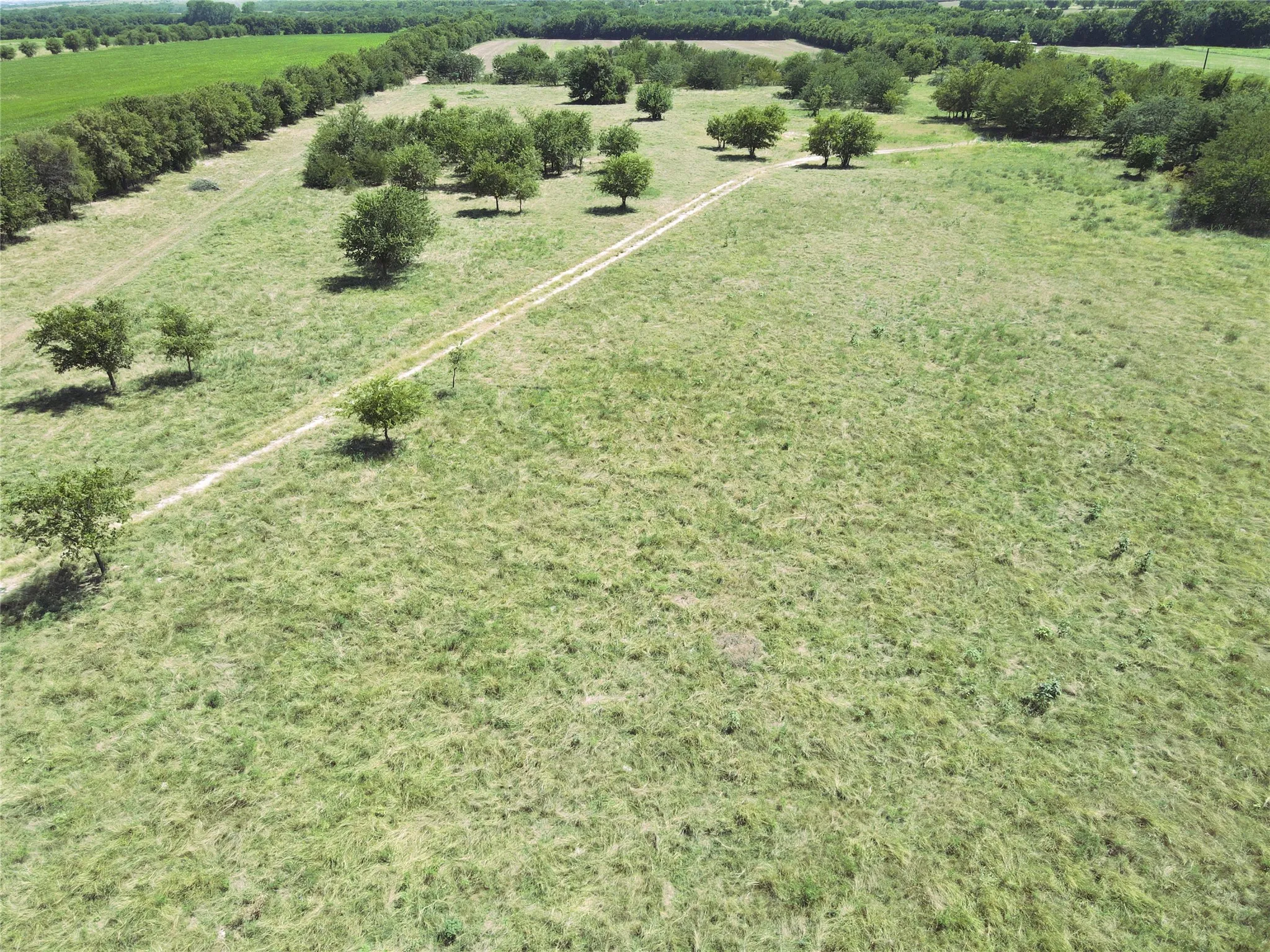 Unimproved Land For Sale in Wise County , TBD Hickory Street, Rhome, Texas 76078, 0, 0, Garage spaces, 0 Sqft, built in 0, mls#21359455, Real Estate Agent in Rhome, Homes For Sale in Wise county, Homes For Sale in Rhome, Realtor in Rhome Texas, Real Estate Brokerage Independent Realty Texas, Luminita Cordes Realtor